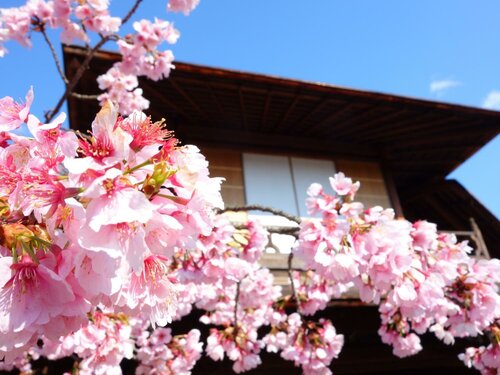 Гостиница Apa Hotel Kyoto Eki Horikawadori в Киото