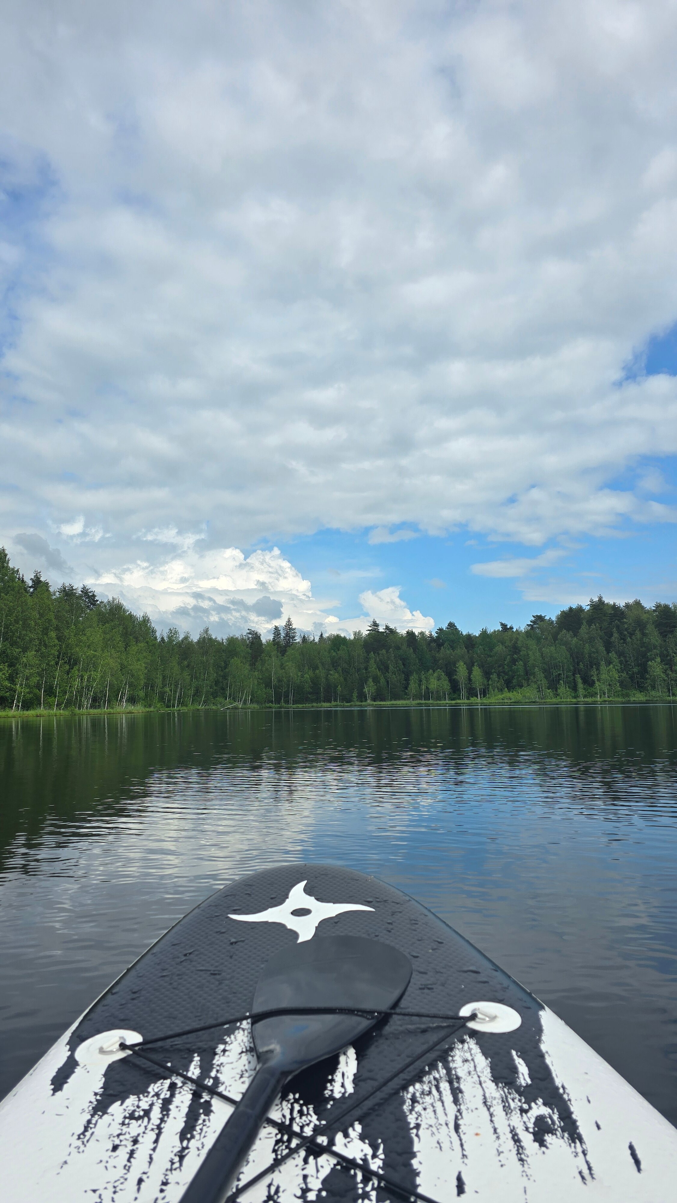 Фото Озеро белых лилий