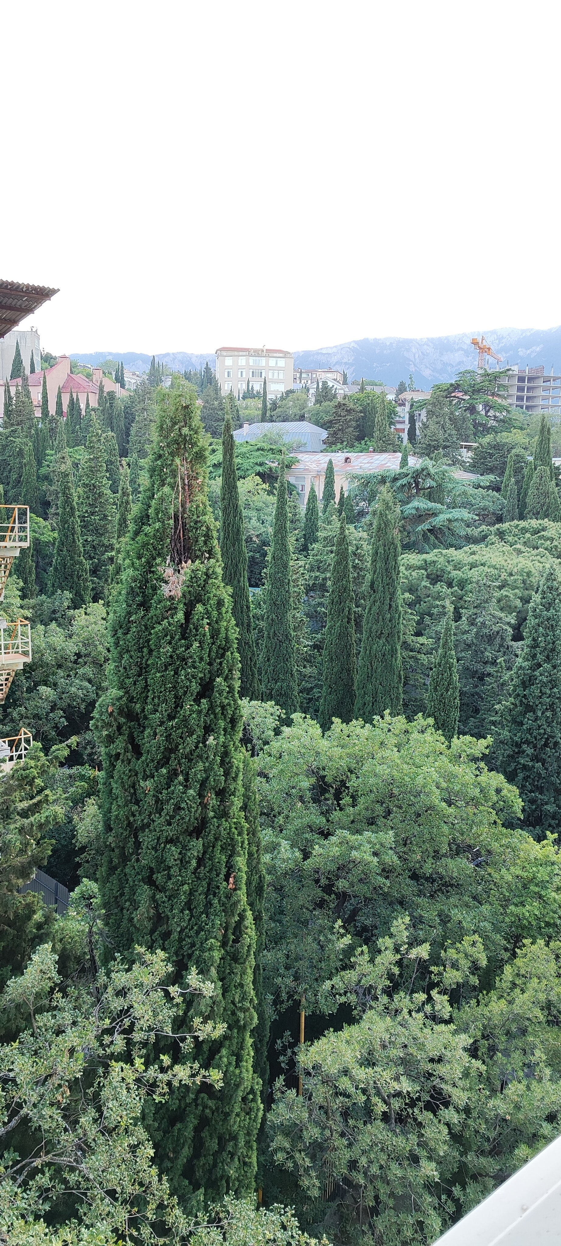 Фото Апартаменты у Приморского Парка