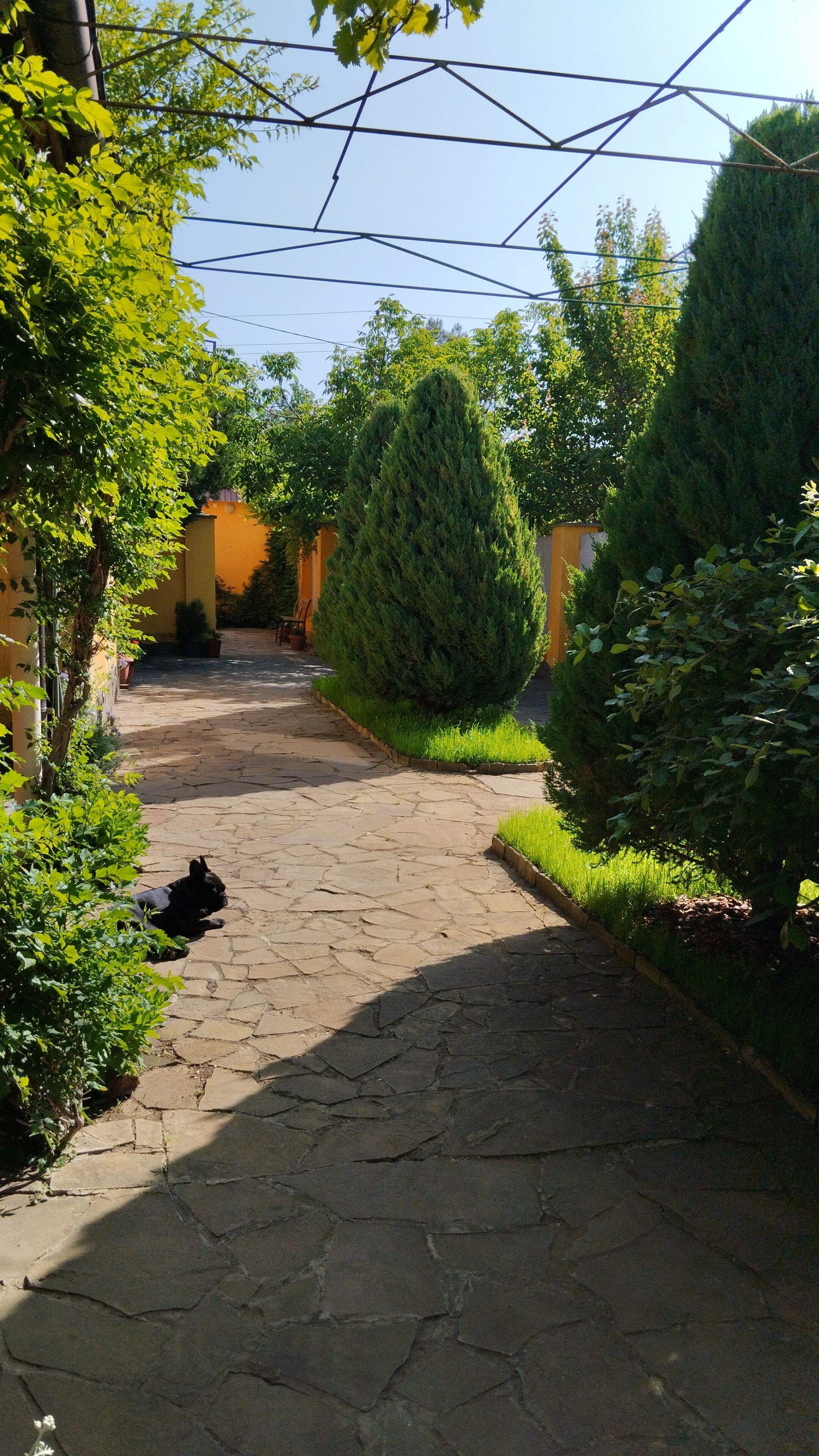 Фото В гостях у моря