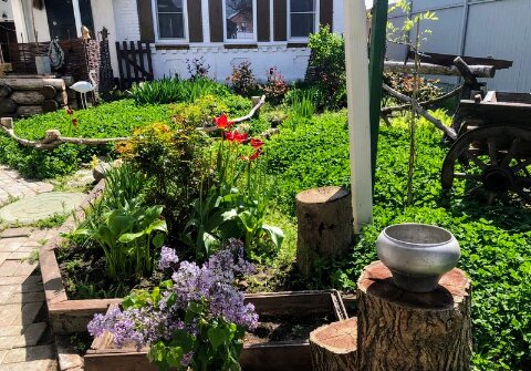 Фото Ростов Казачий