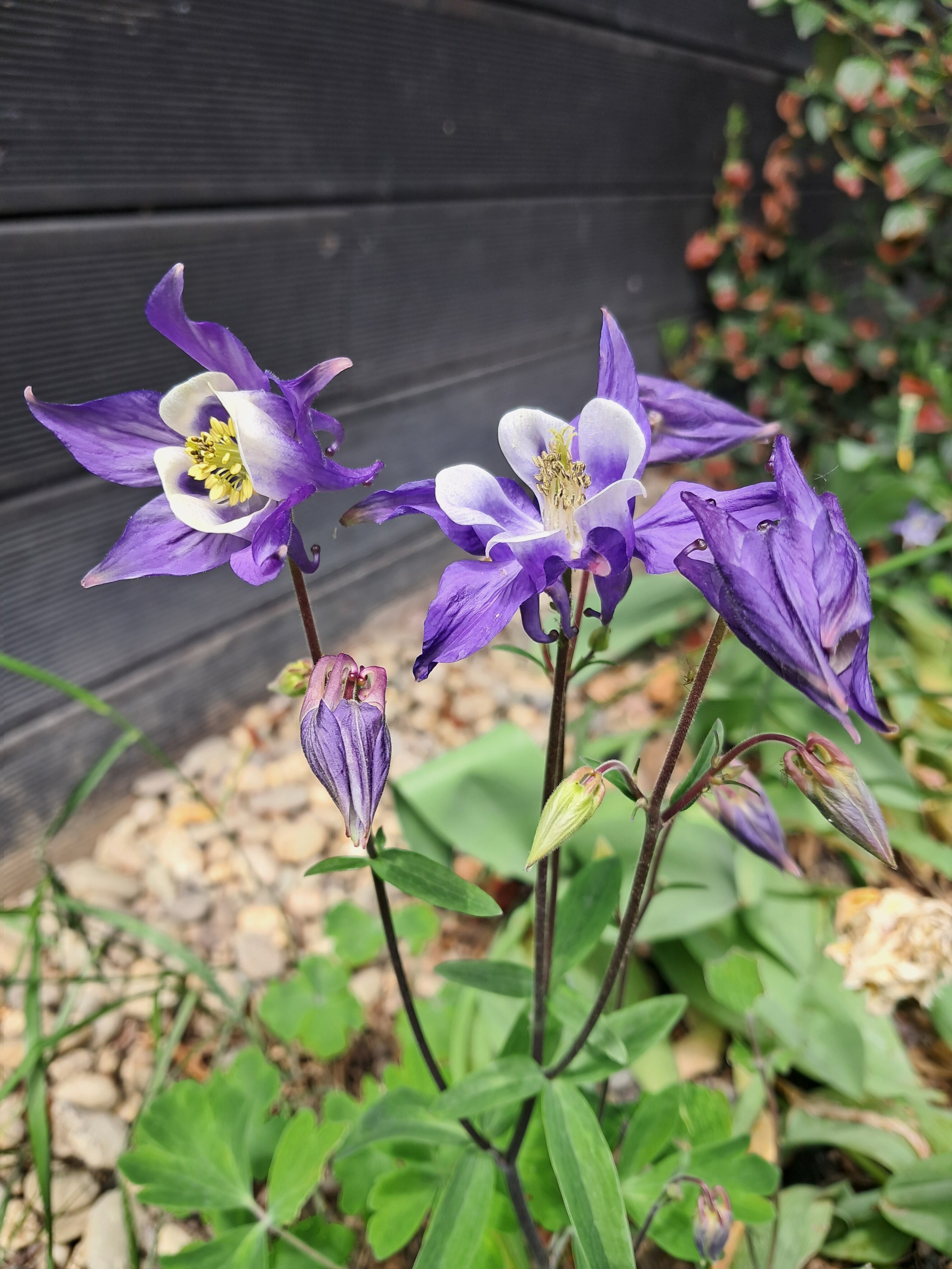 Фото Abrau Garden