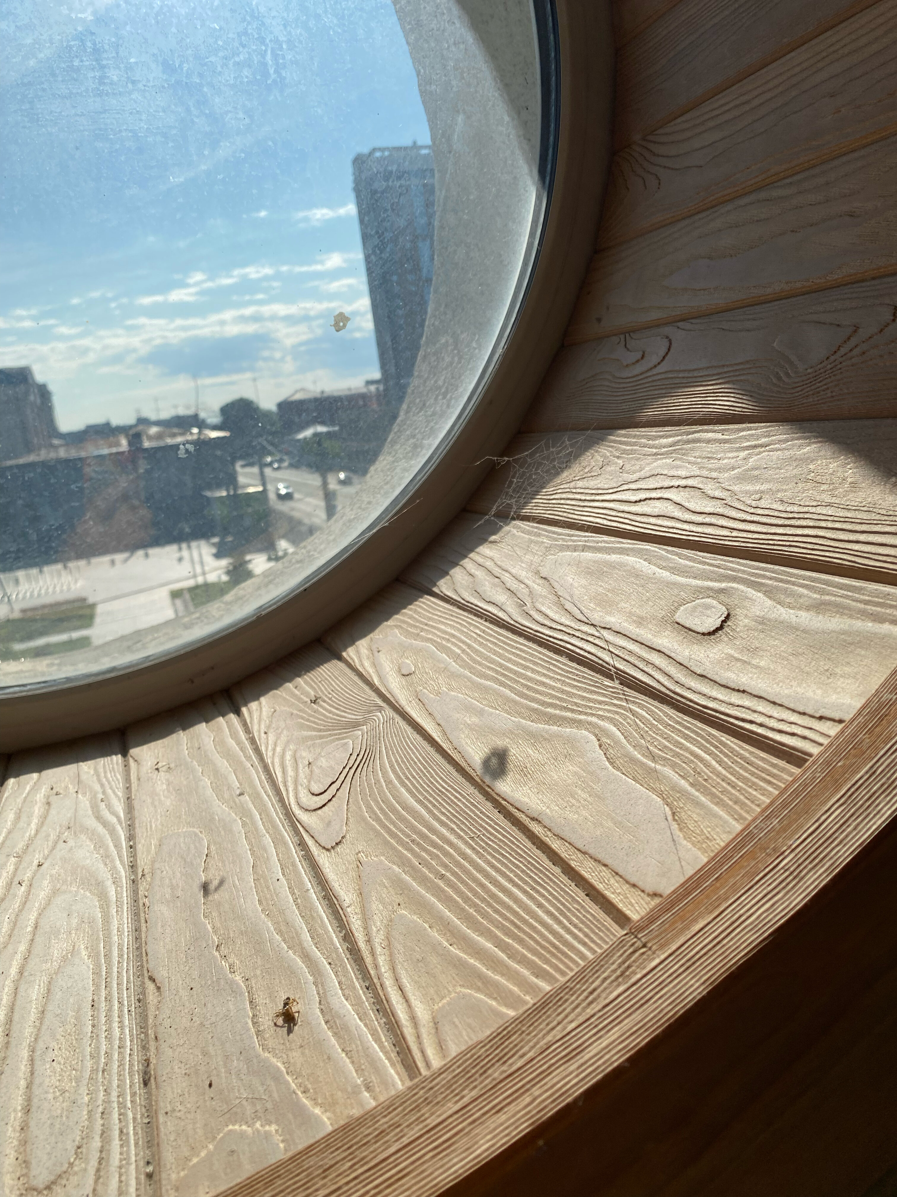 Фото Сибирский