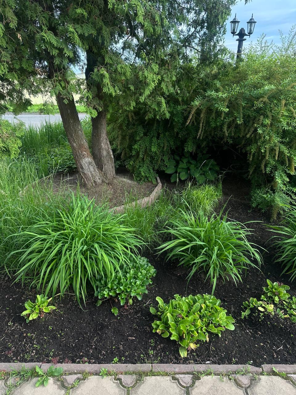 Фото Неолит