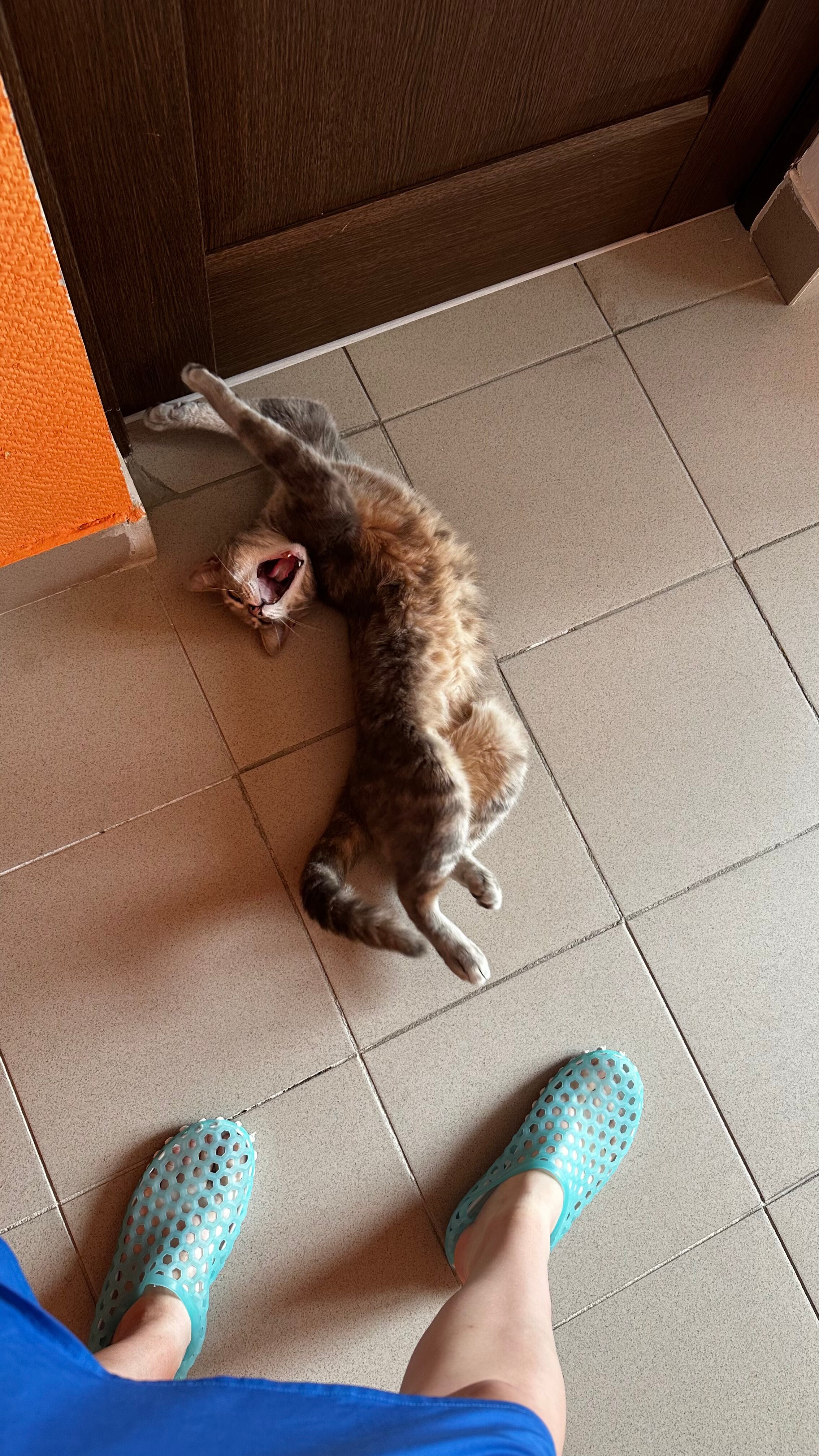 Фото Бухта № 5