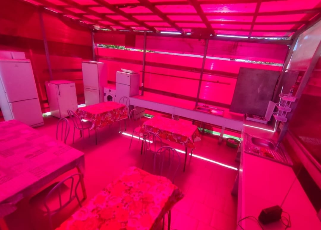 Фото Золотые пески