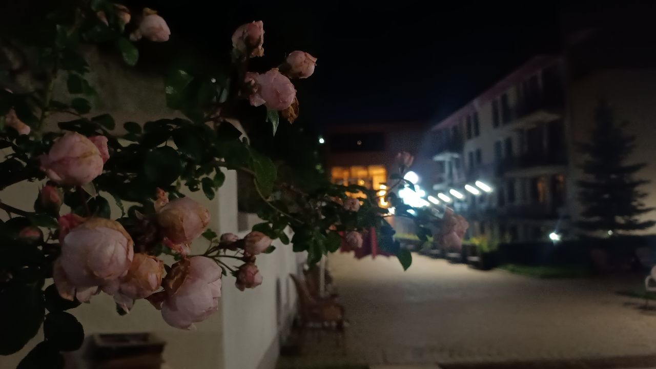 Фото Best Western Plus Paradise Hotel Dilijan