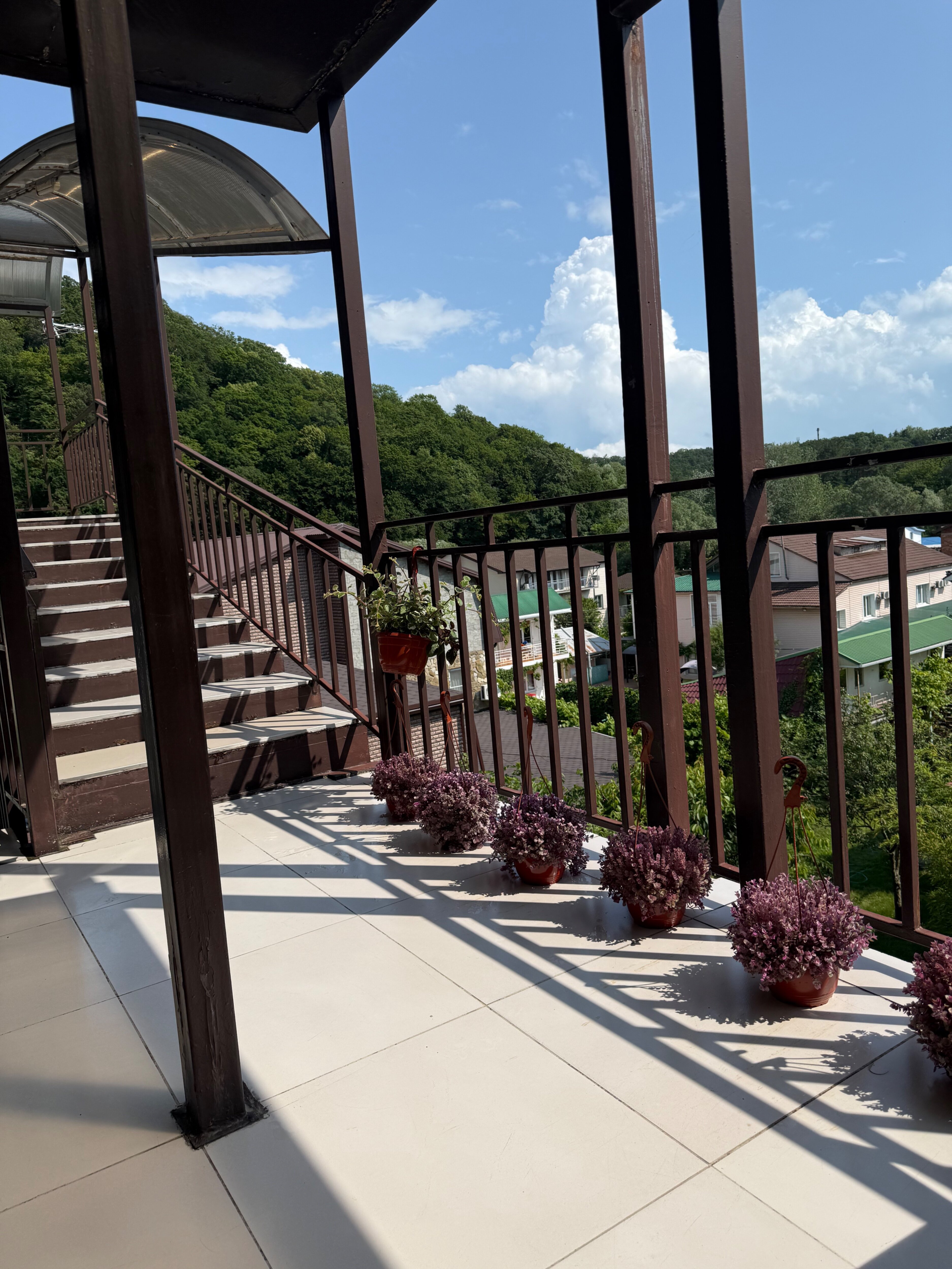 Фото Гостиница Пляхо