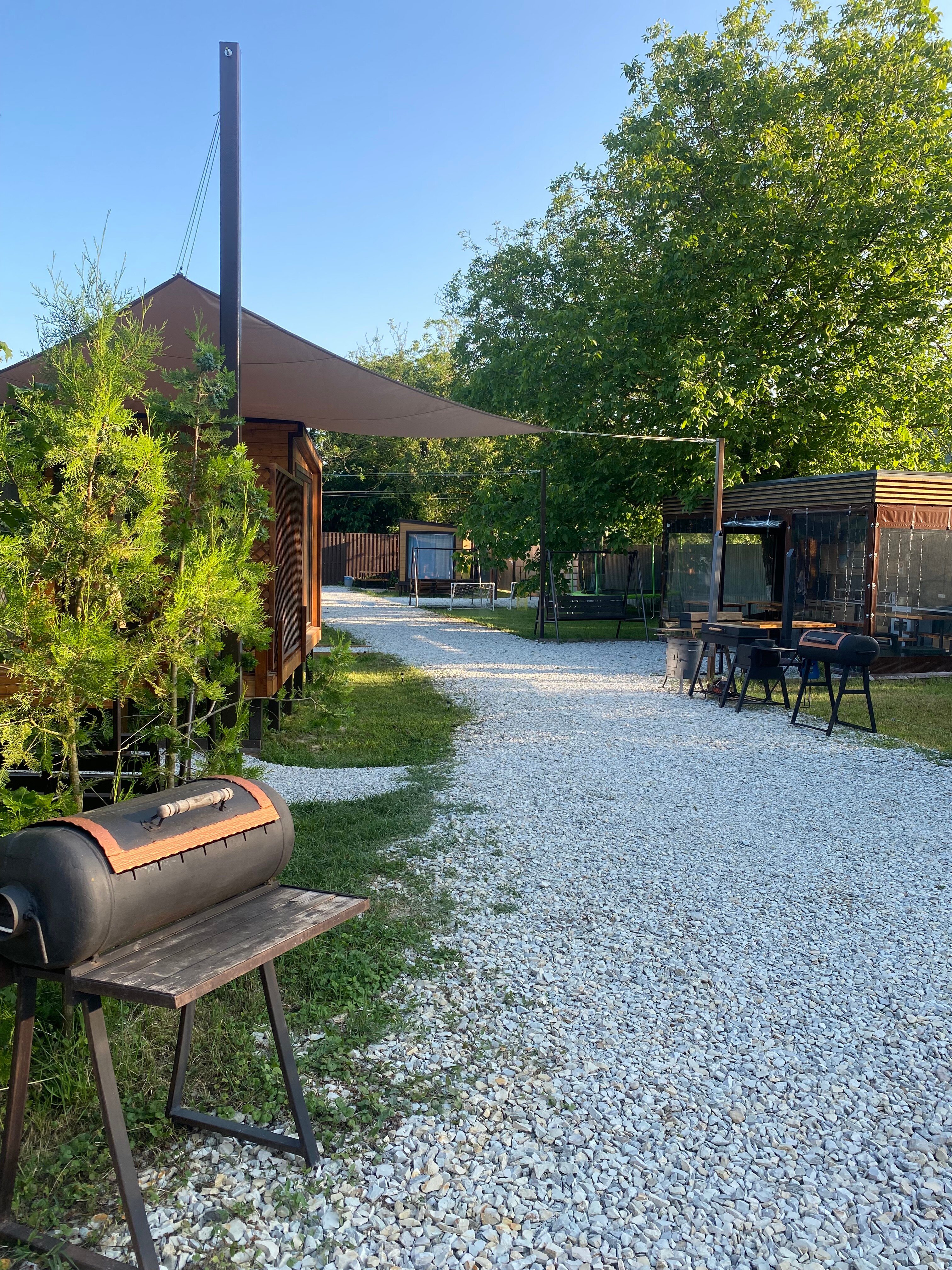 Фото Берег леса