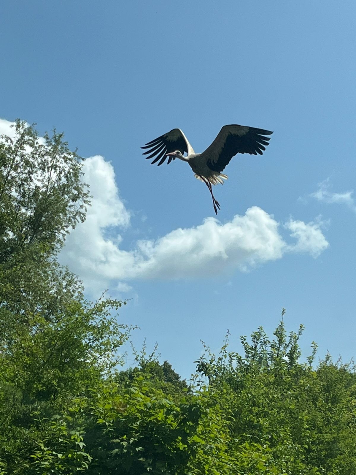 Фото От края до края