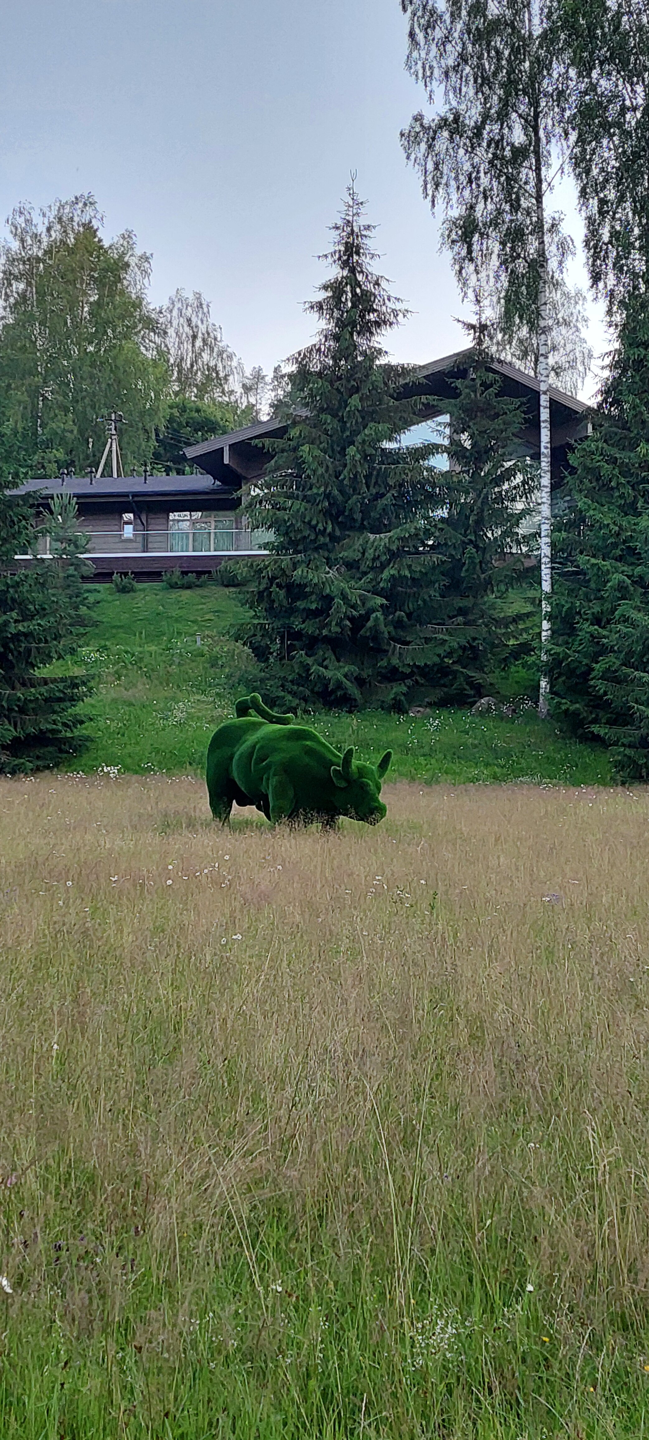 Фото Сильвер
