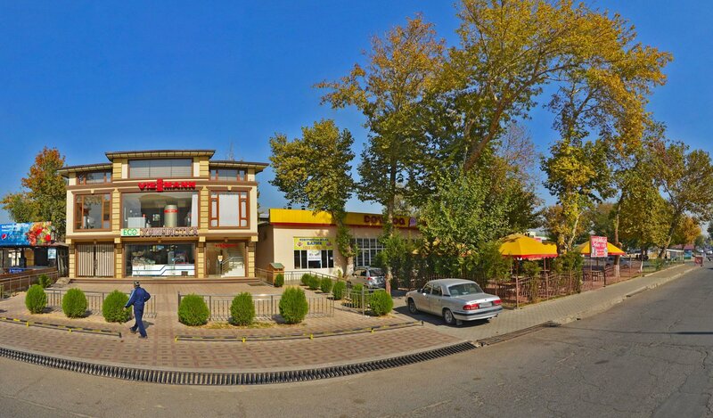 Kafedagi ahmoq jojalar