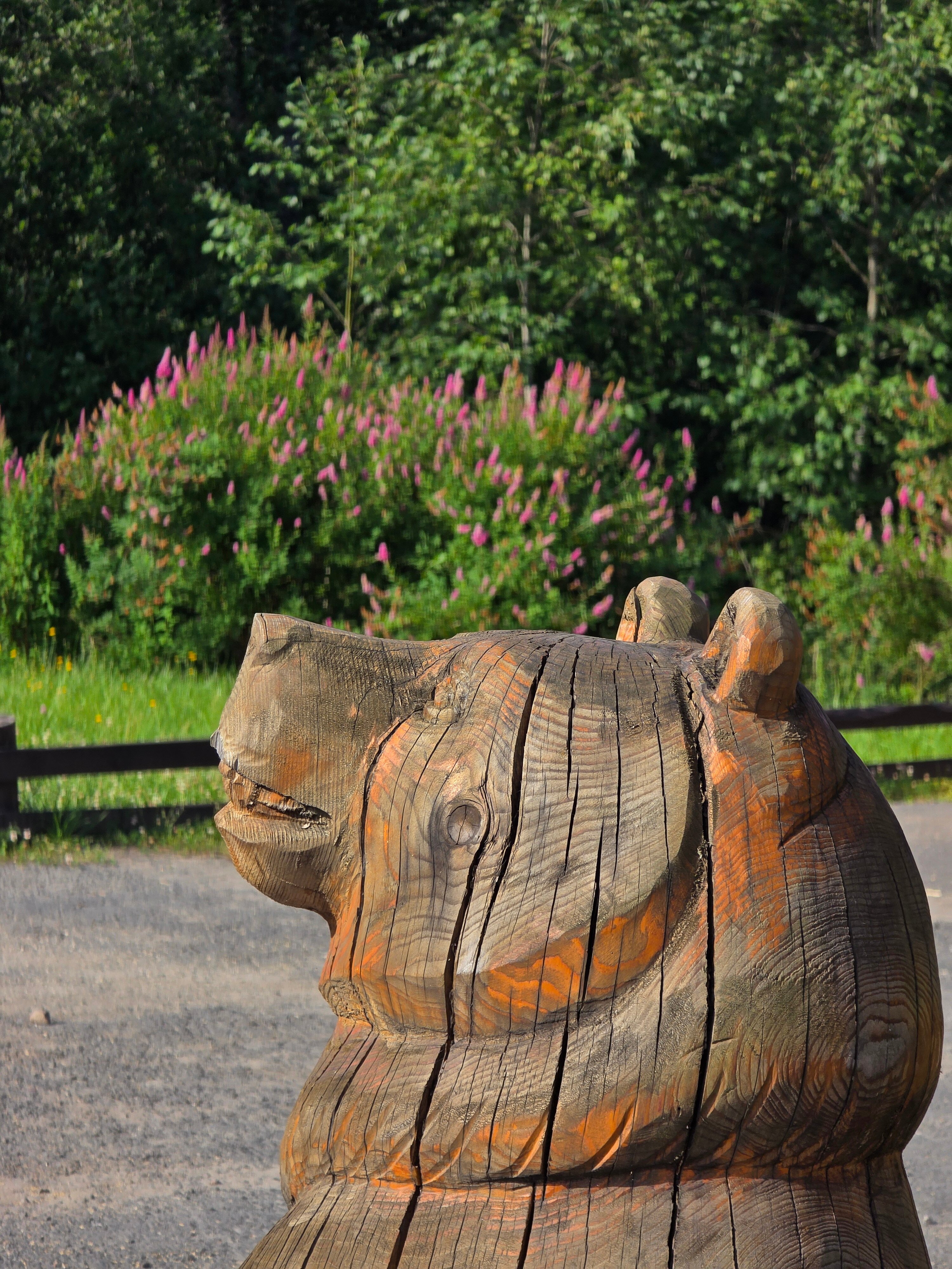 Фото Медвежий Угол