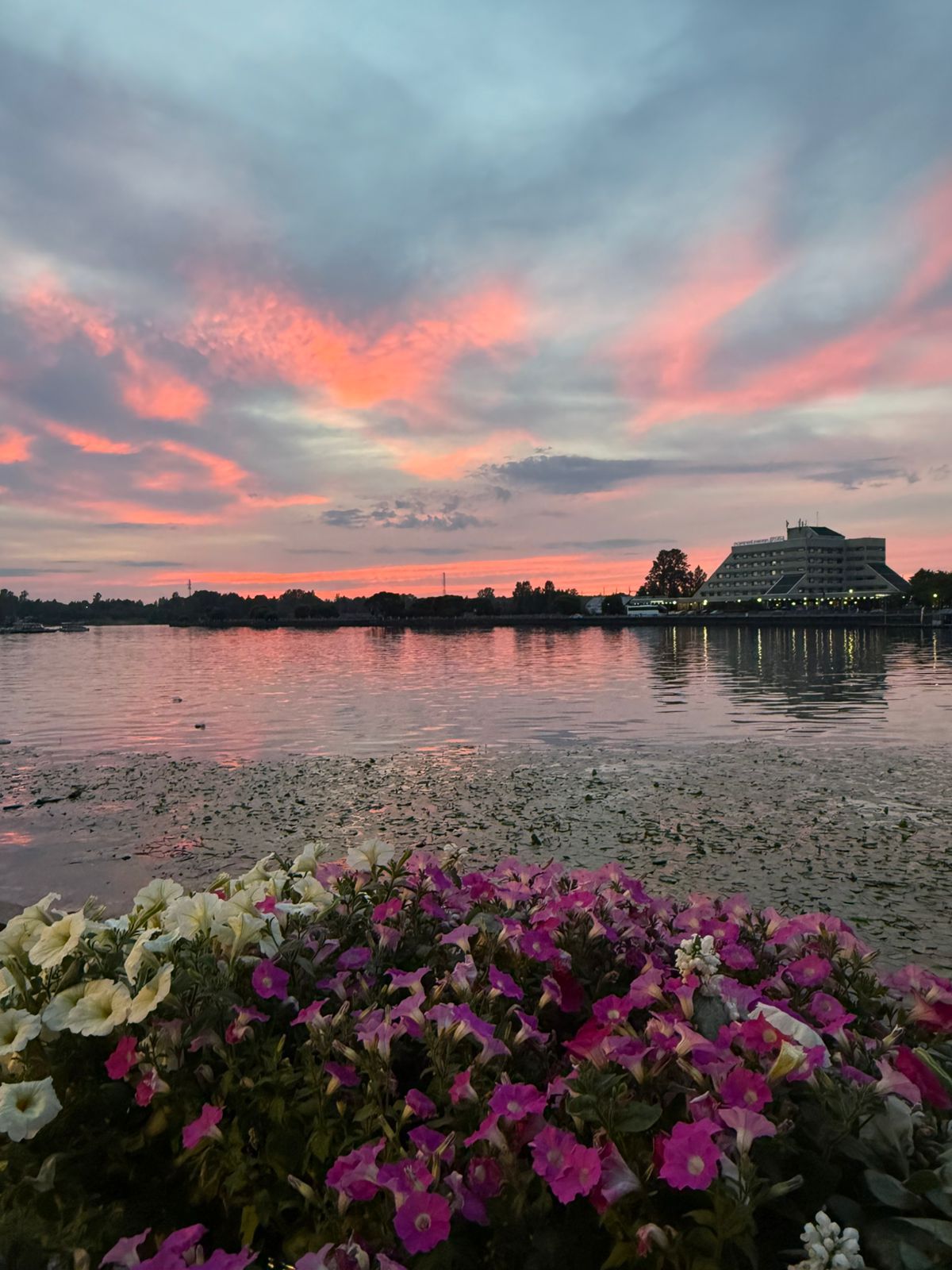 Фото Дружба