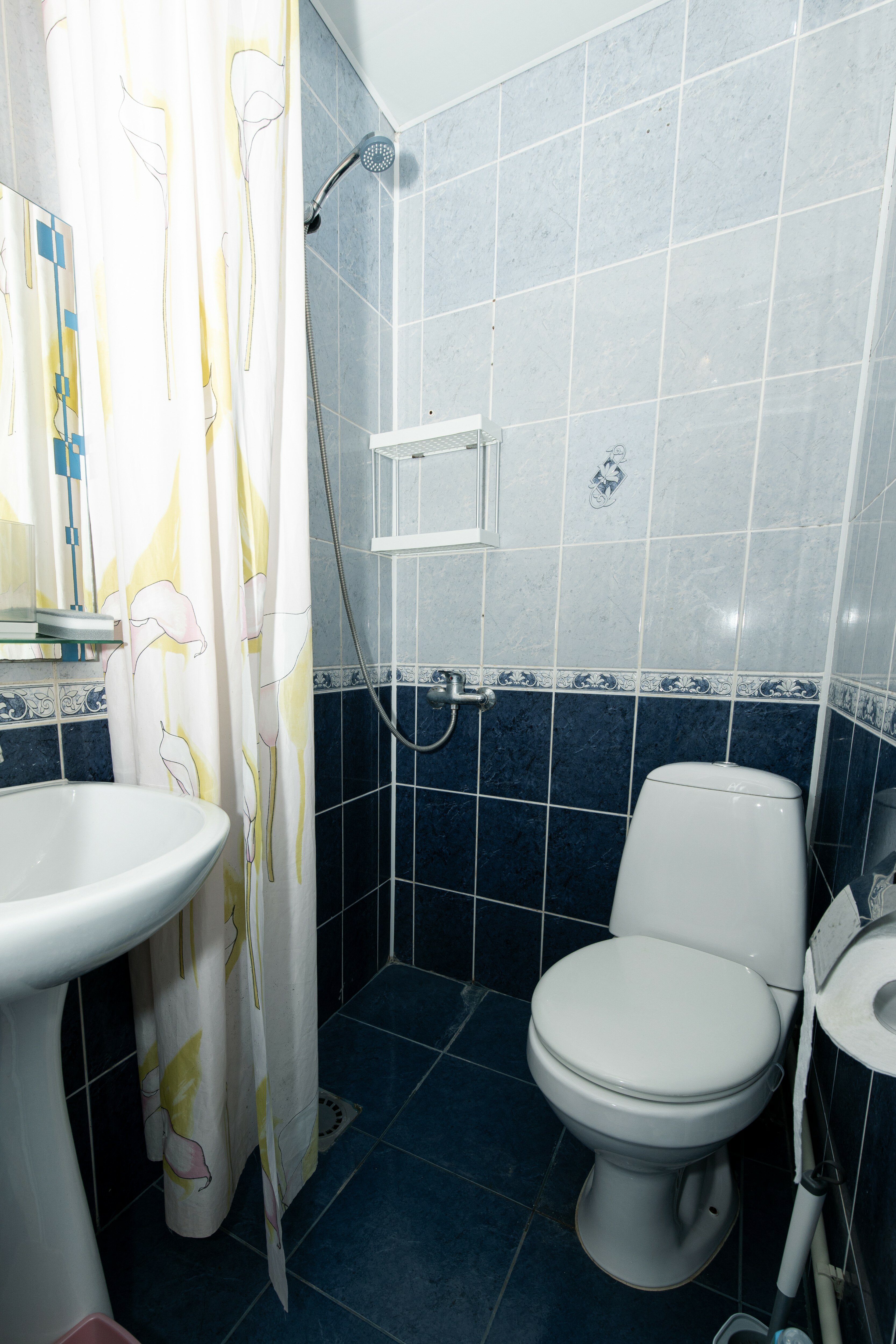 Фото Азалия