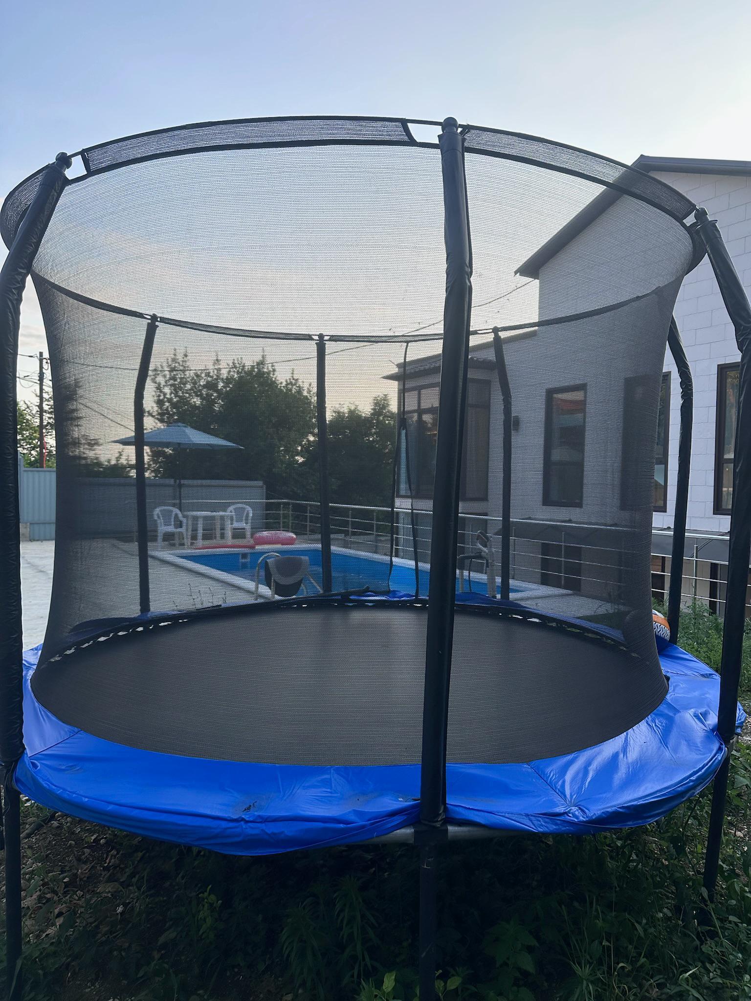 Фото Ланселот