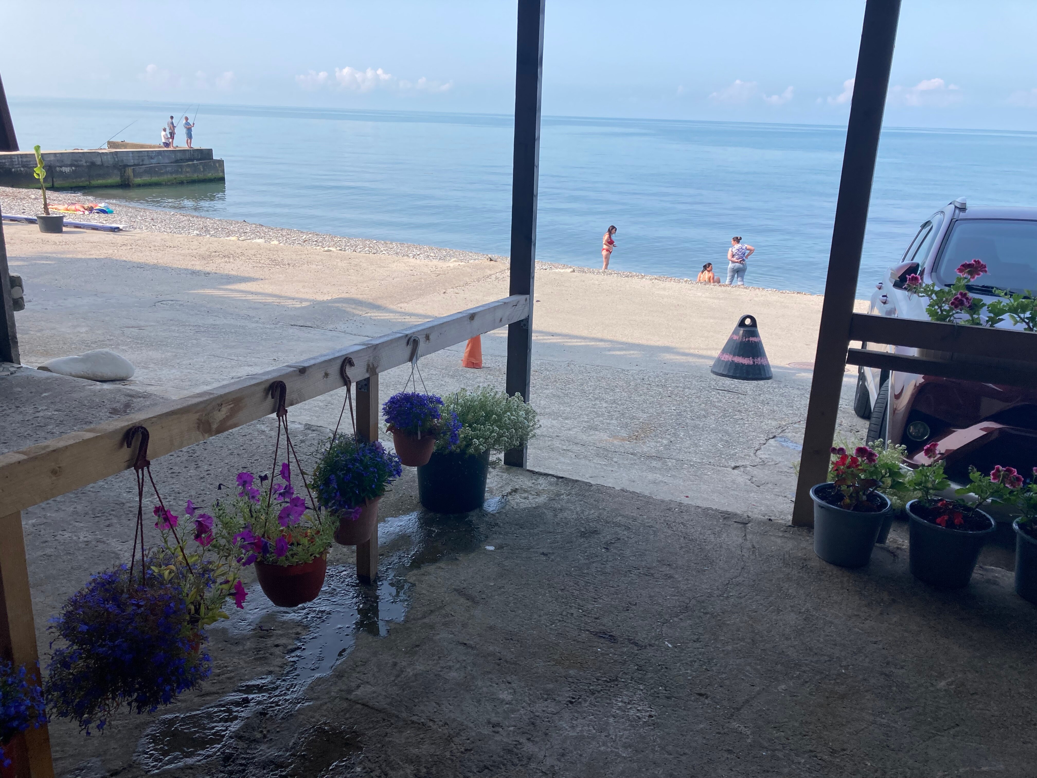 Фото Эллинг Дважды два