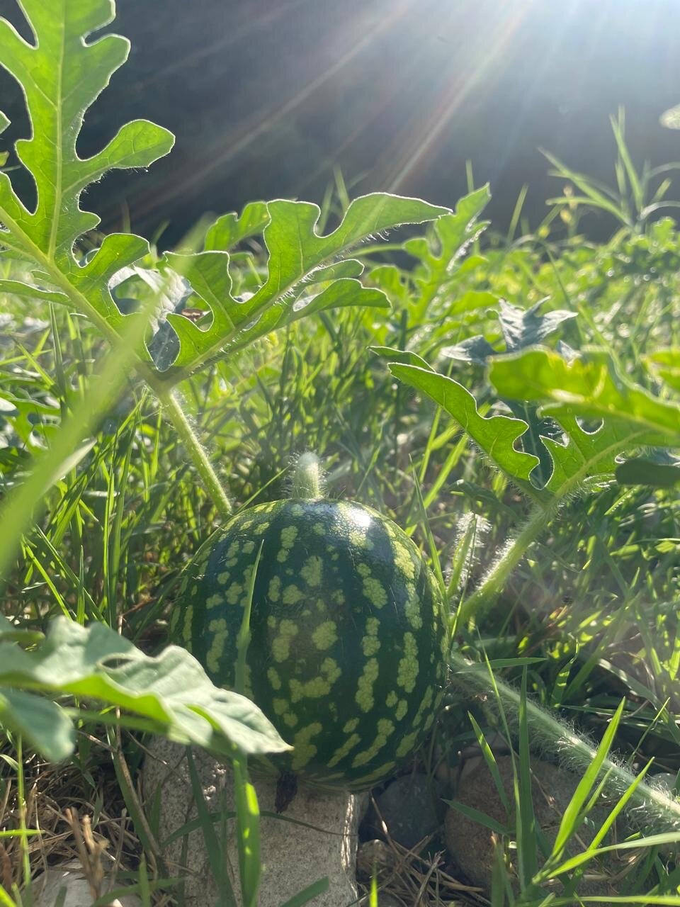 Фото КрутоТут