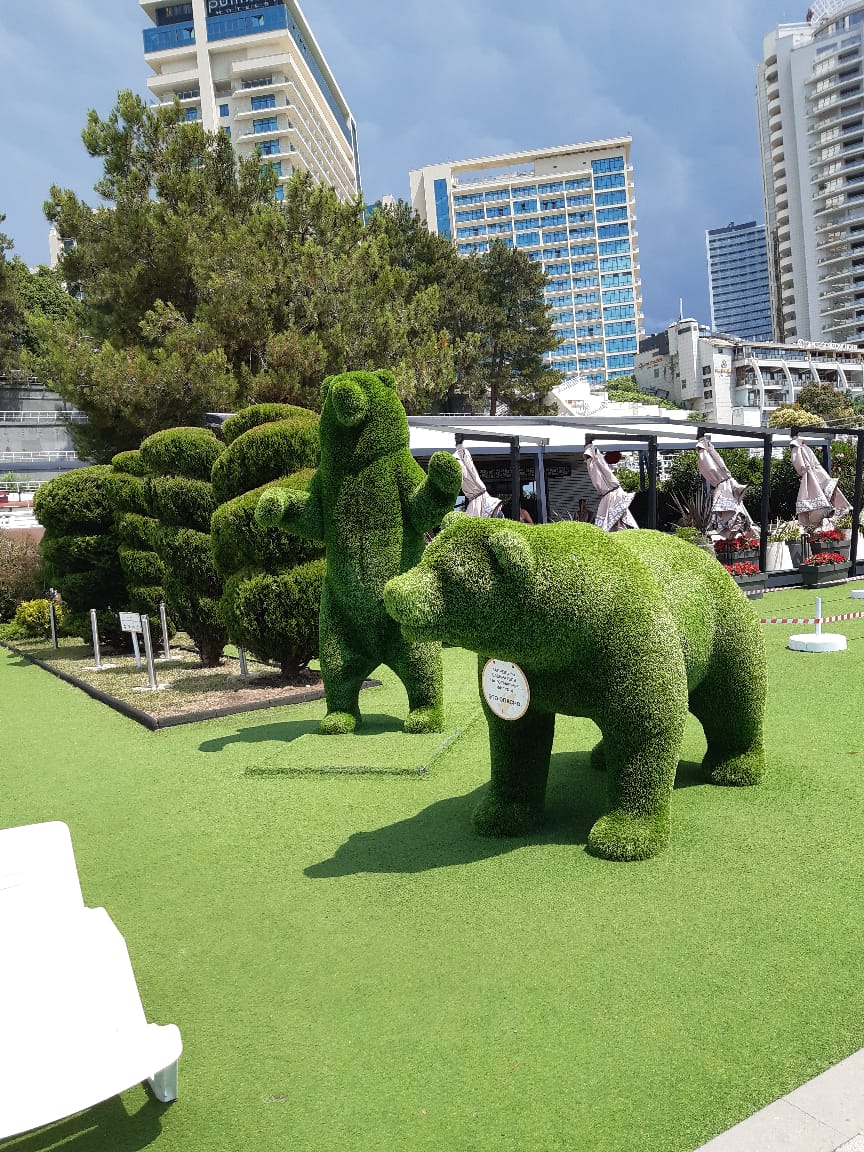 Фото Шагал по Красной площади