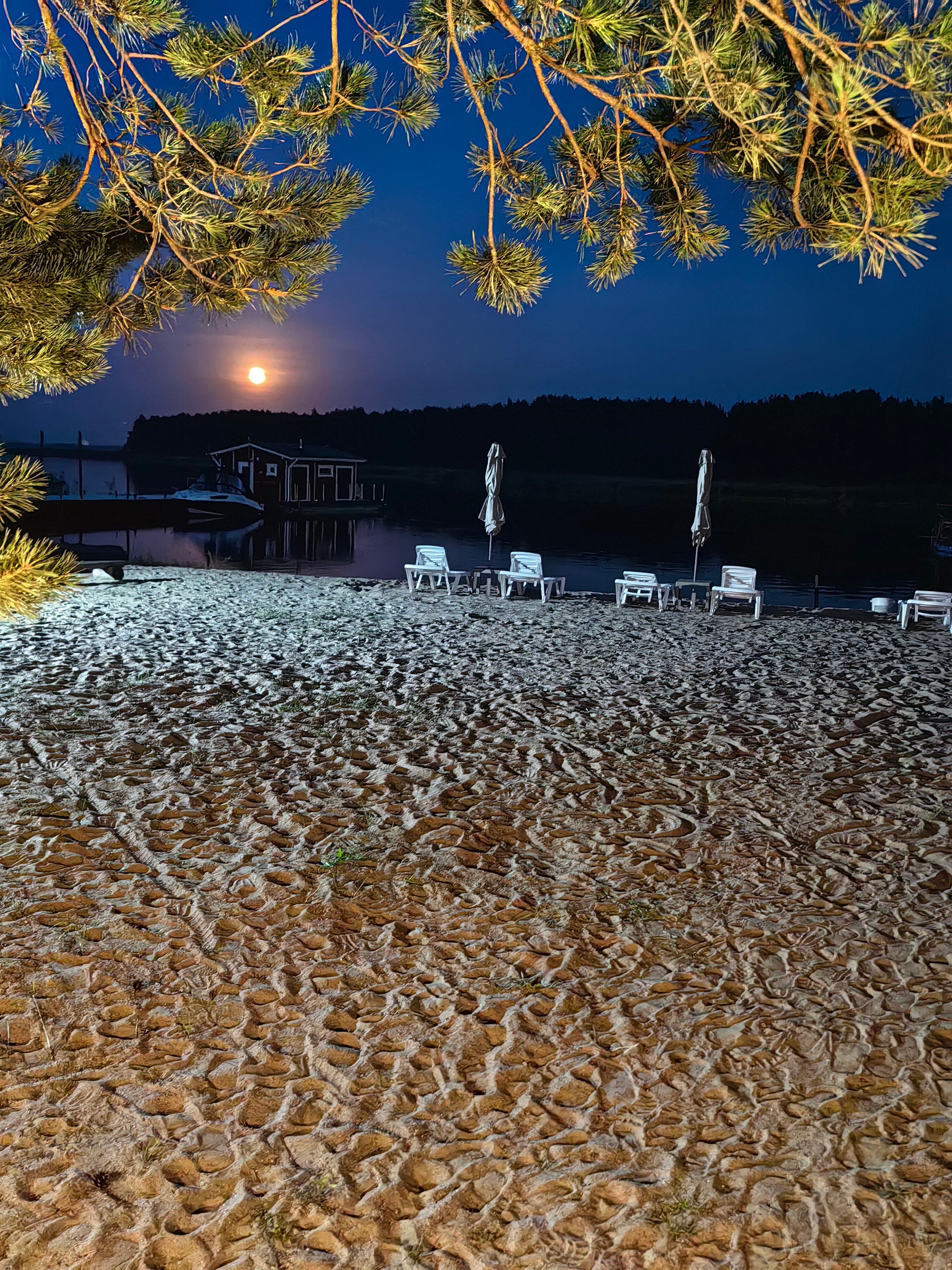 Фото 179204430868