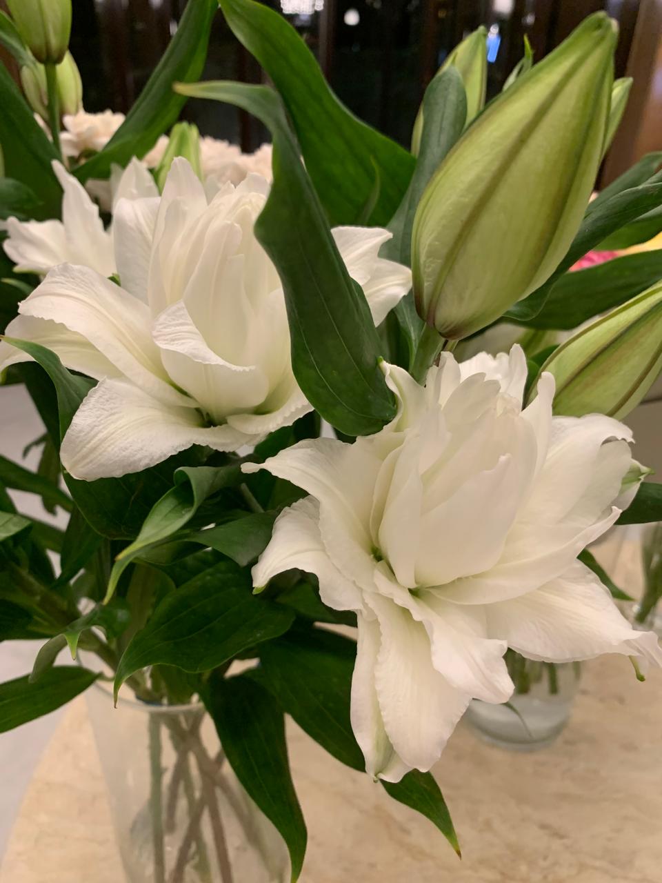 Фото Парк Шафран