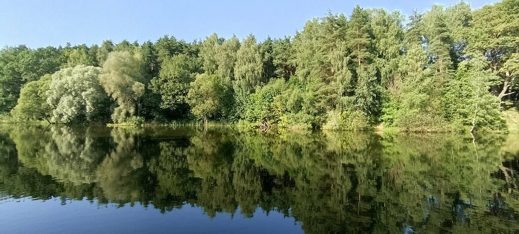 Лесопарк Видновский лесопарк, Москва и Московская область, фото