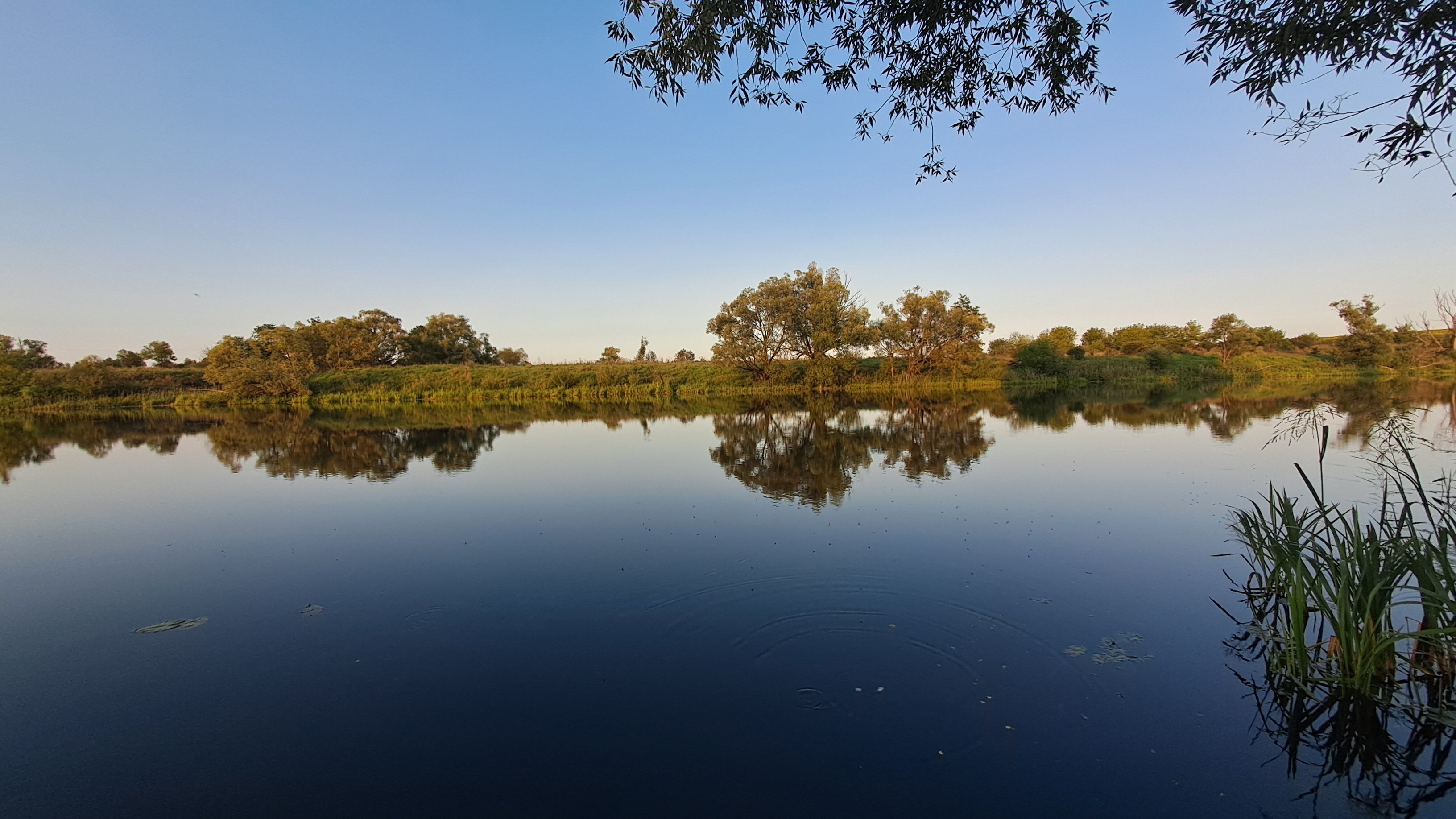 Фото Familyglamp Куликово поле