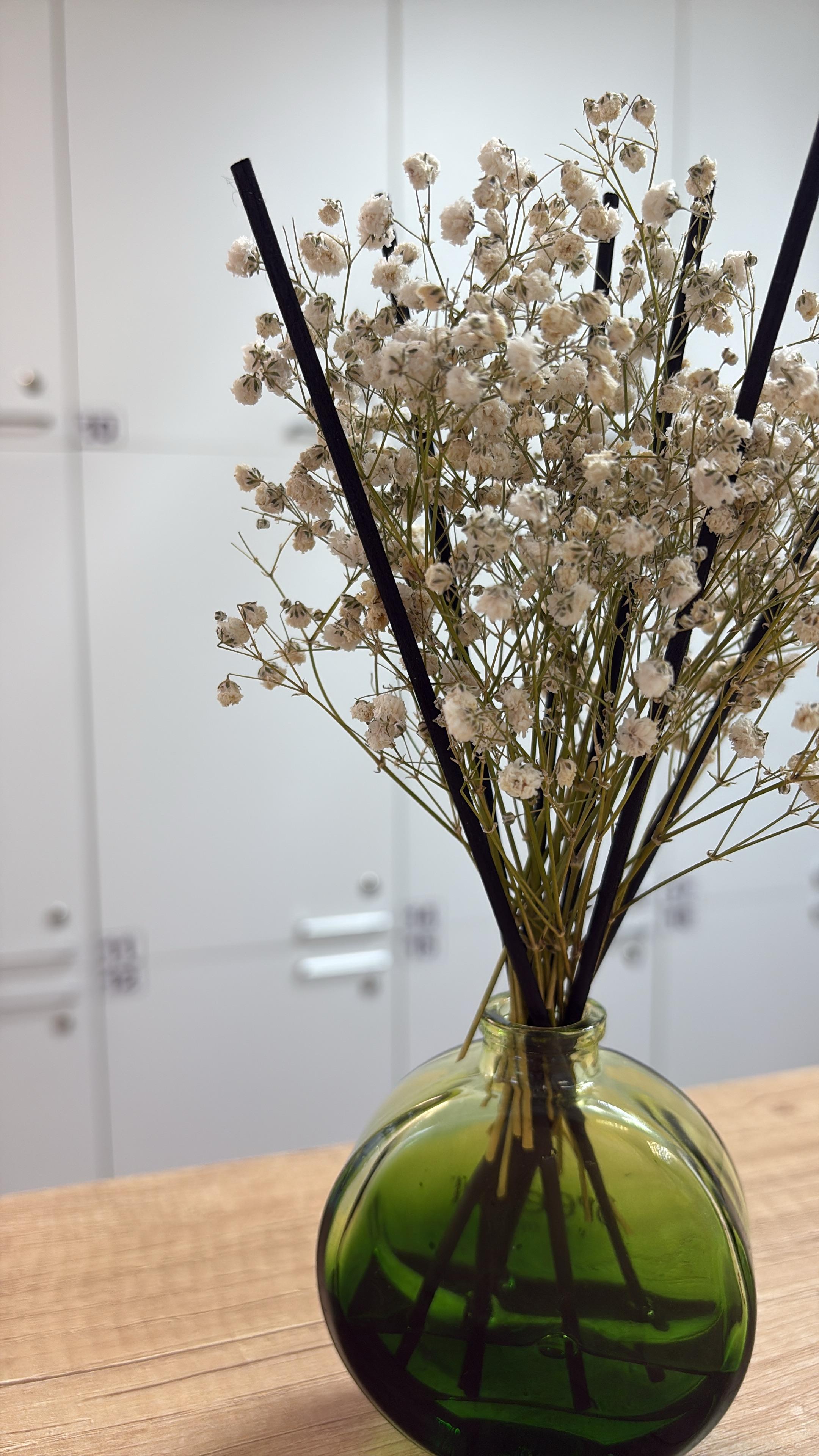 Фото Жилальянс