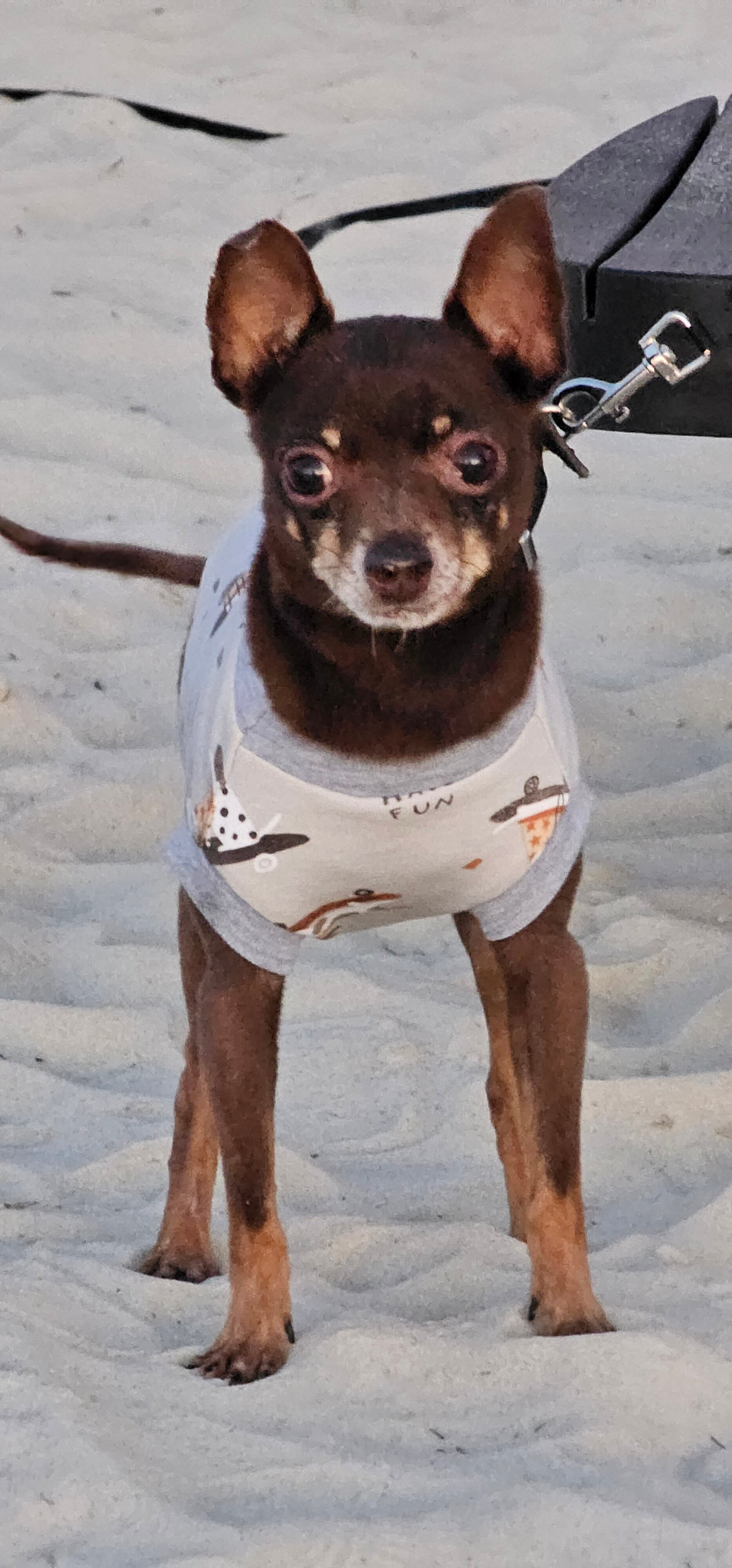 Фото Зона Комфорта