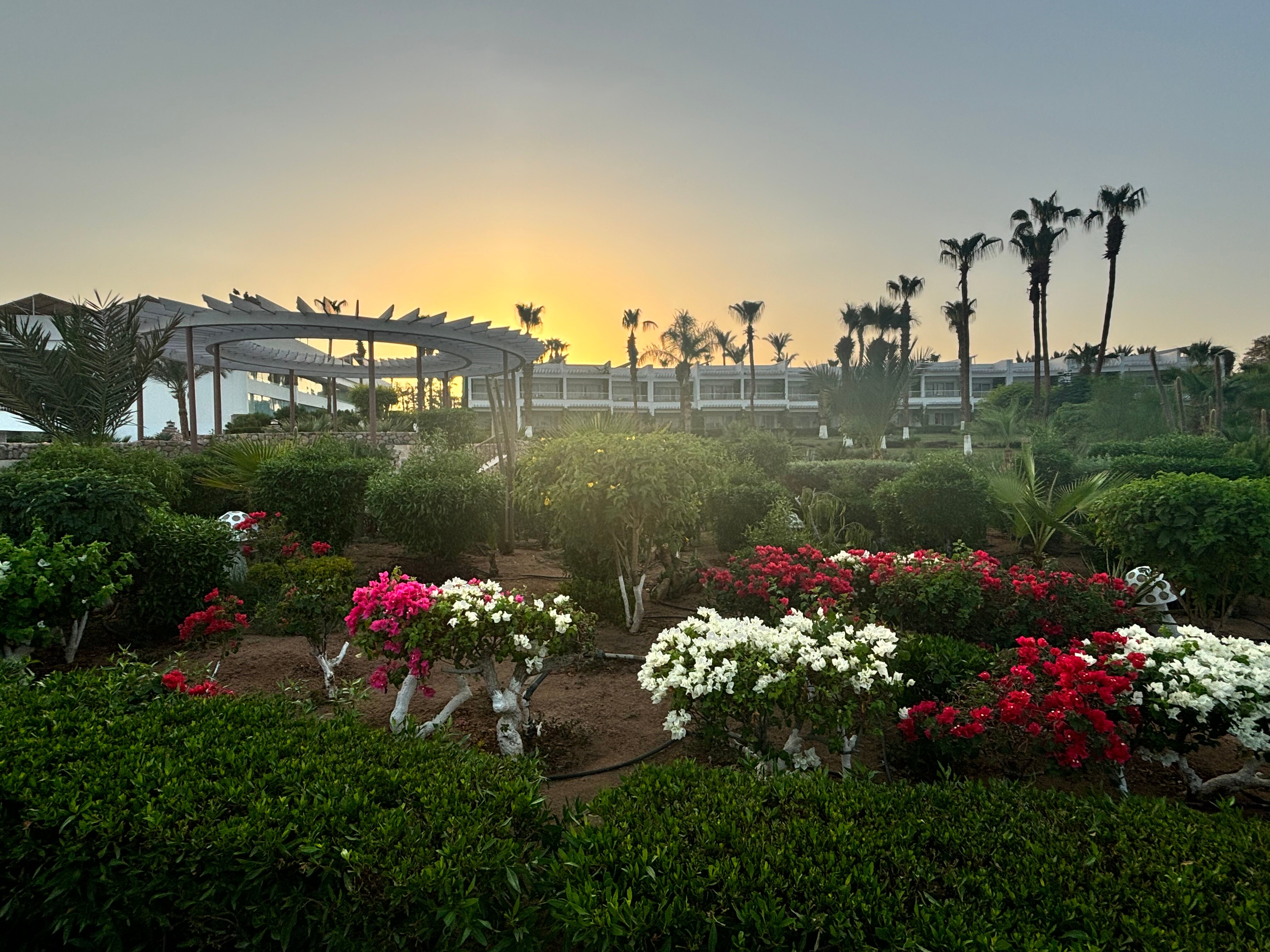 Фото Royal Monte Carlo Sharm El Sheikh - Adults only