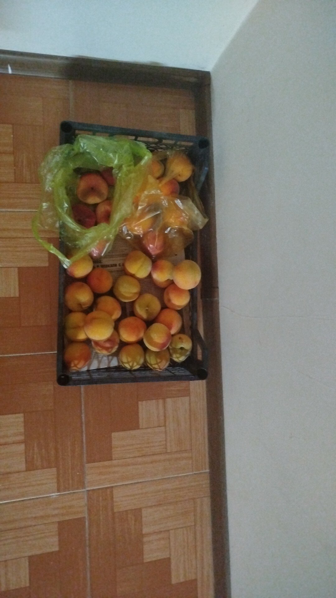 Фото Звёздная Тишина