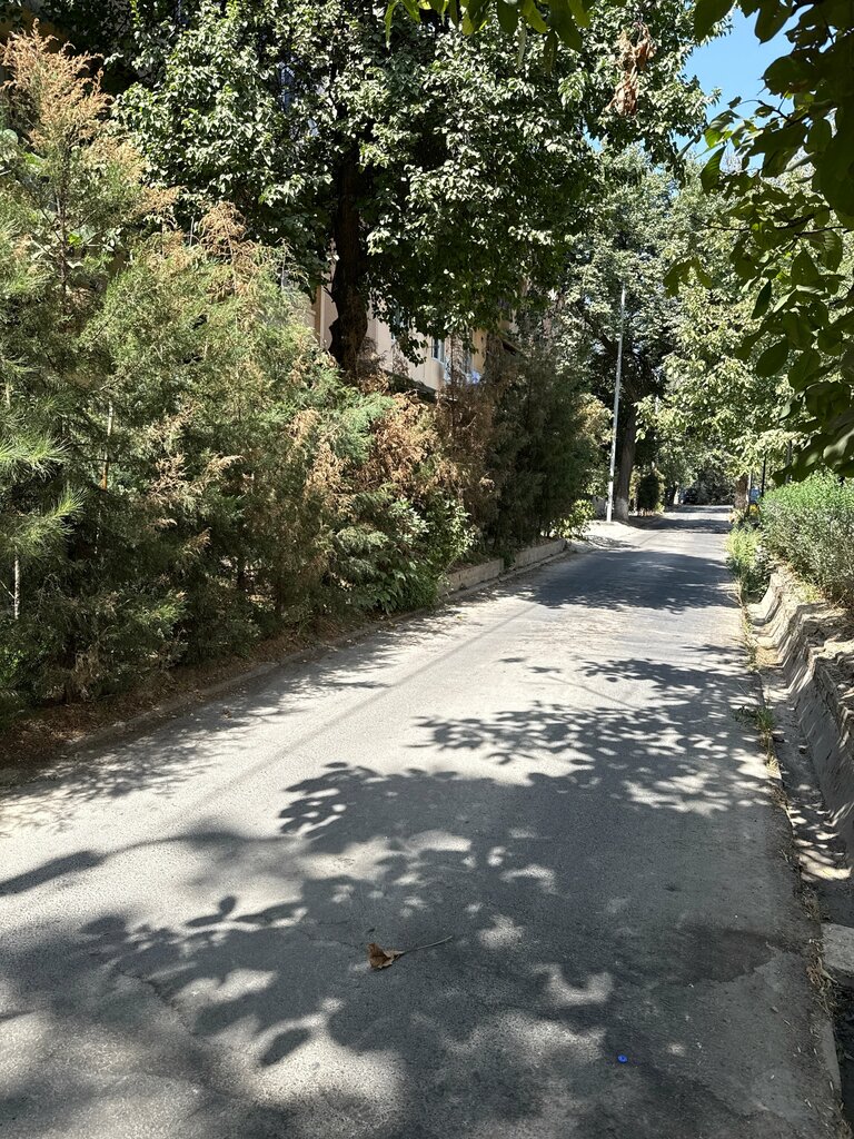 ATM Apex Bank, Tashkent, photo