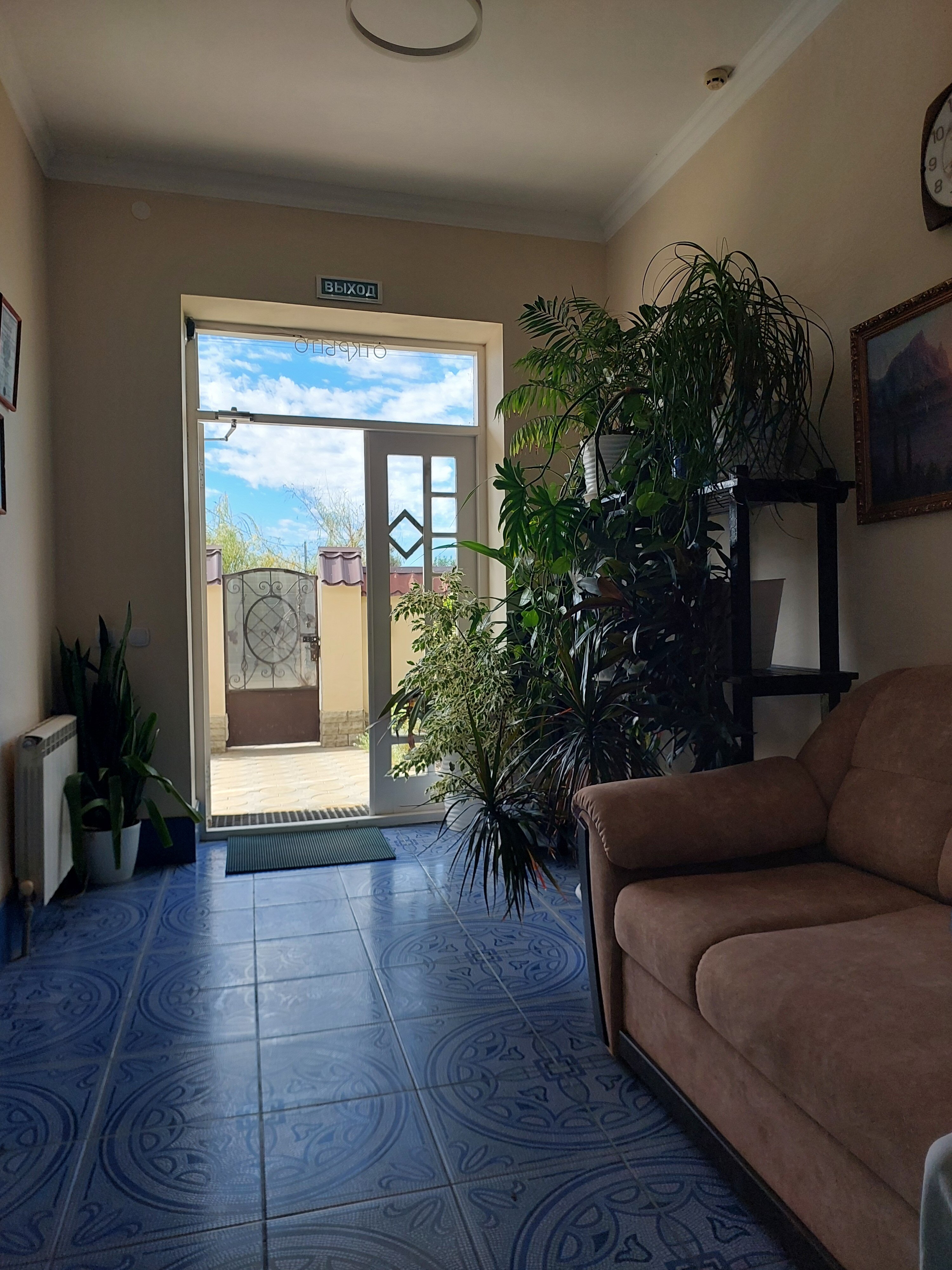 Фото Янтарная гроздь