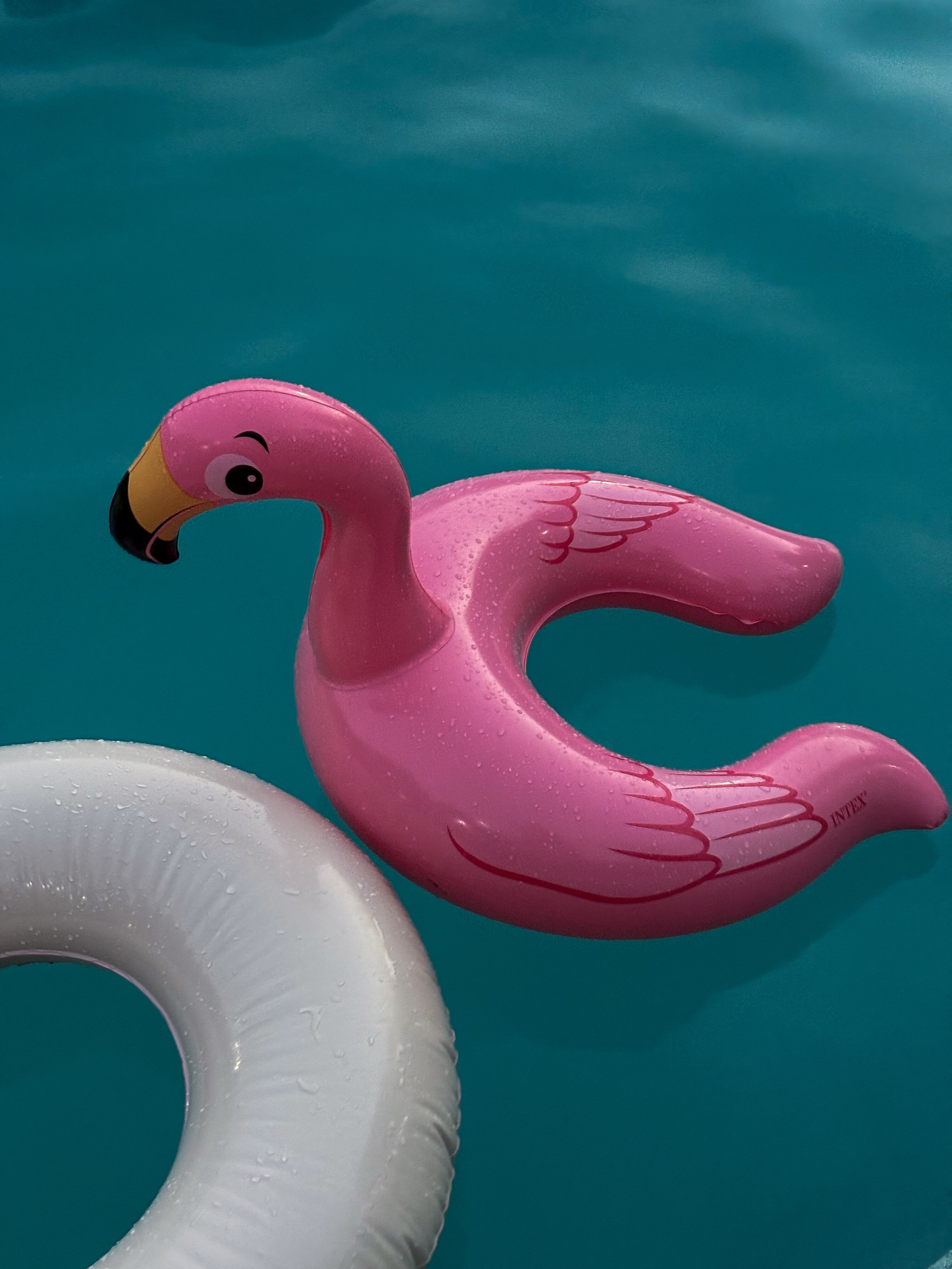 Фото Есенин Дача