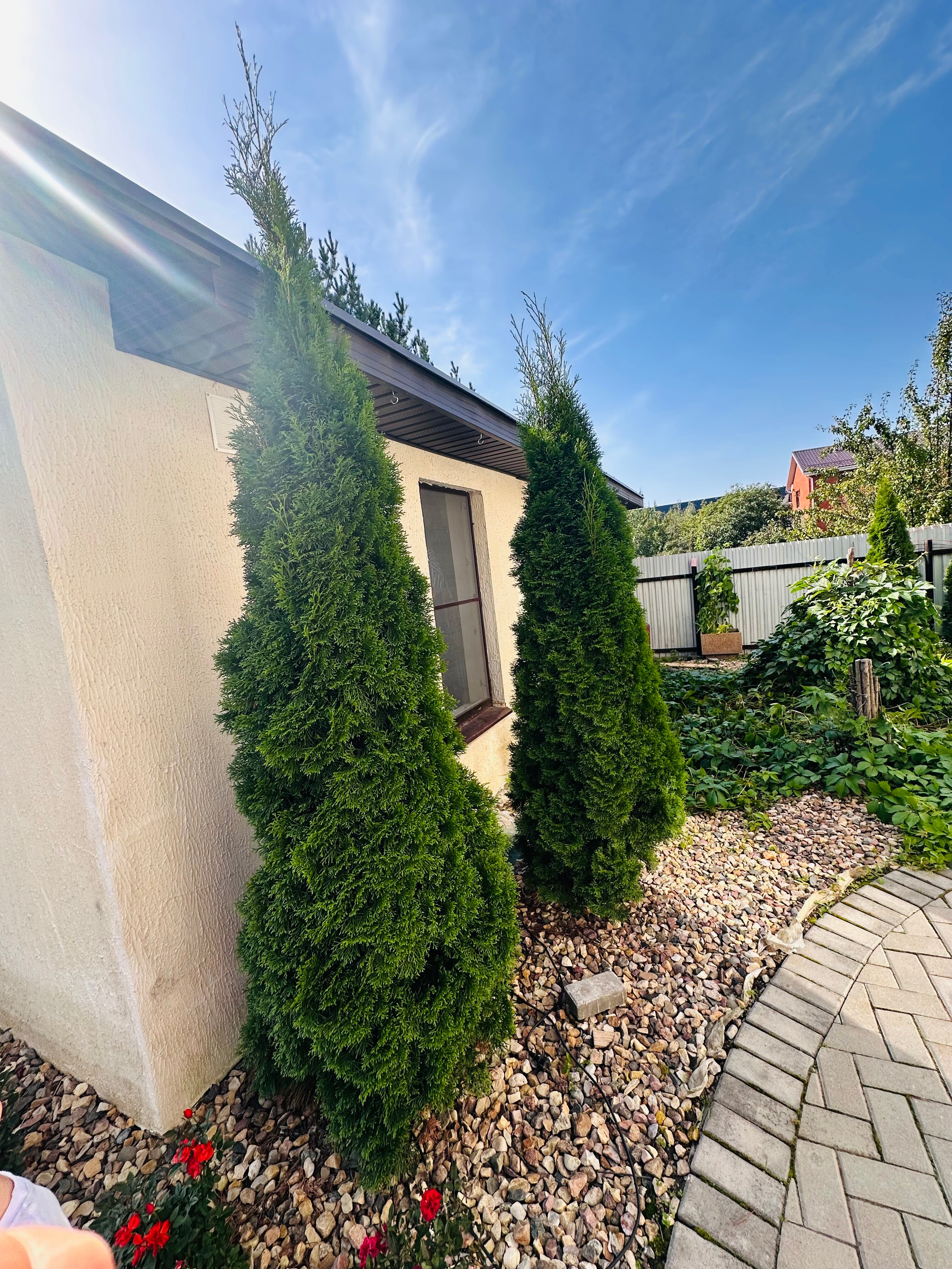 Фото Лауренция