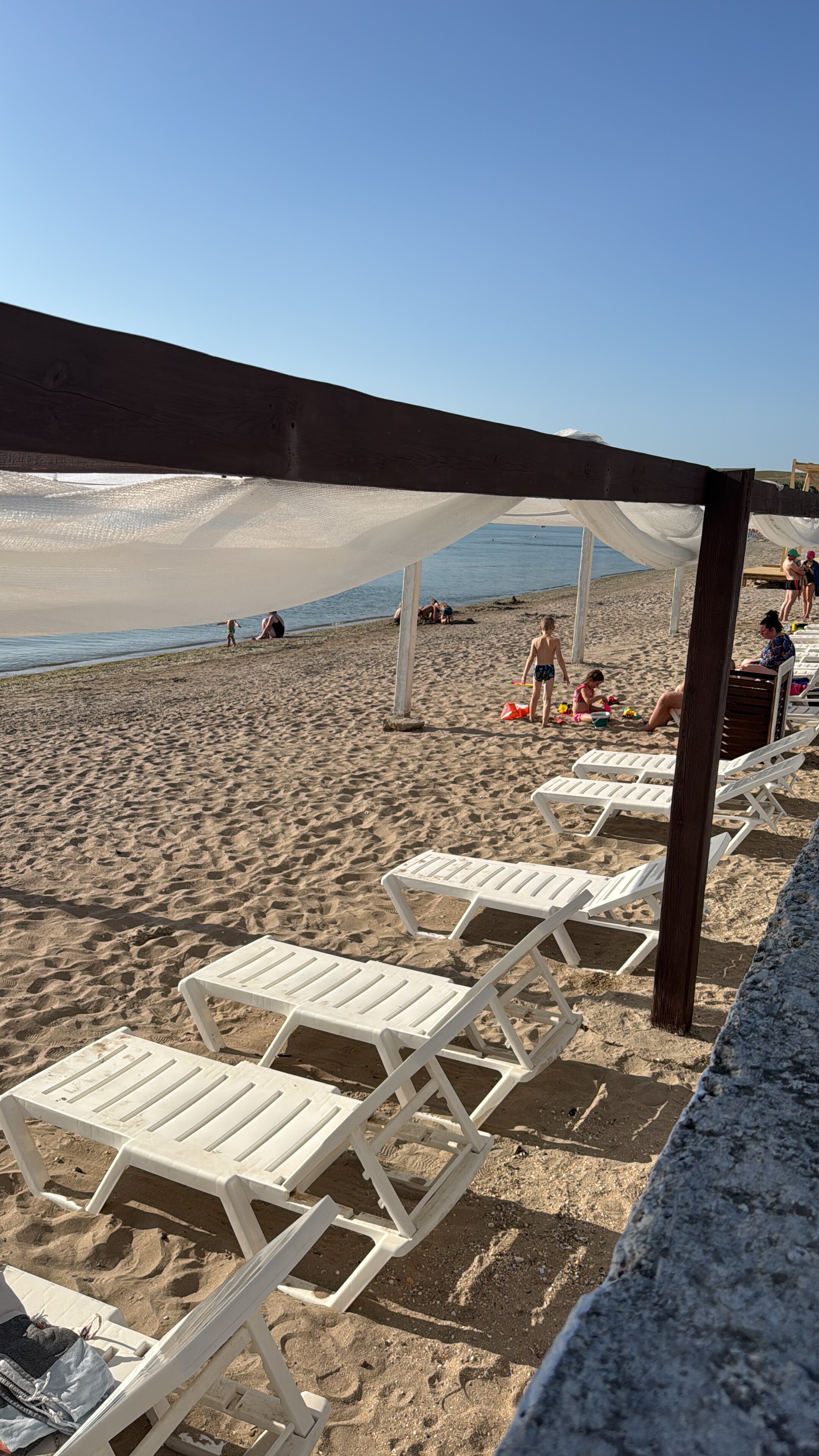 Фото Дельфин