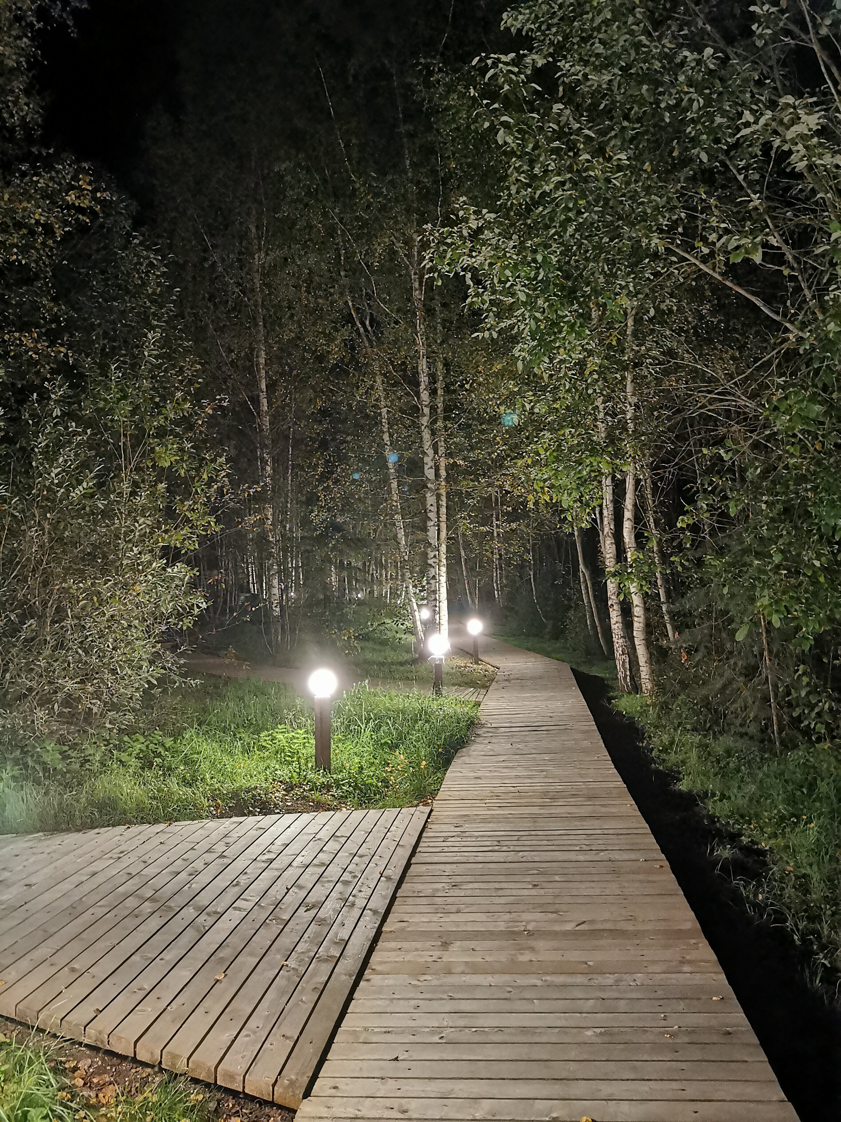 Фото Глэмпинг Видомлицы