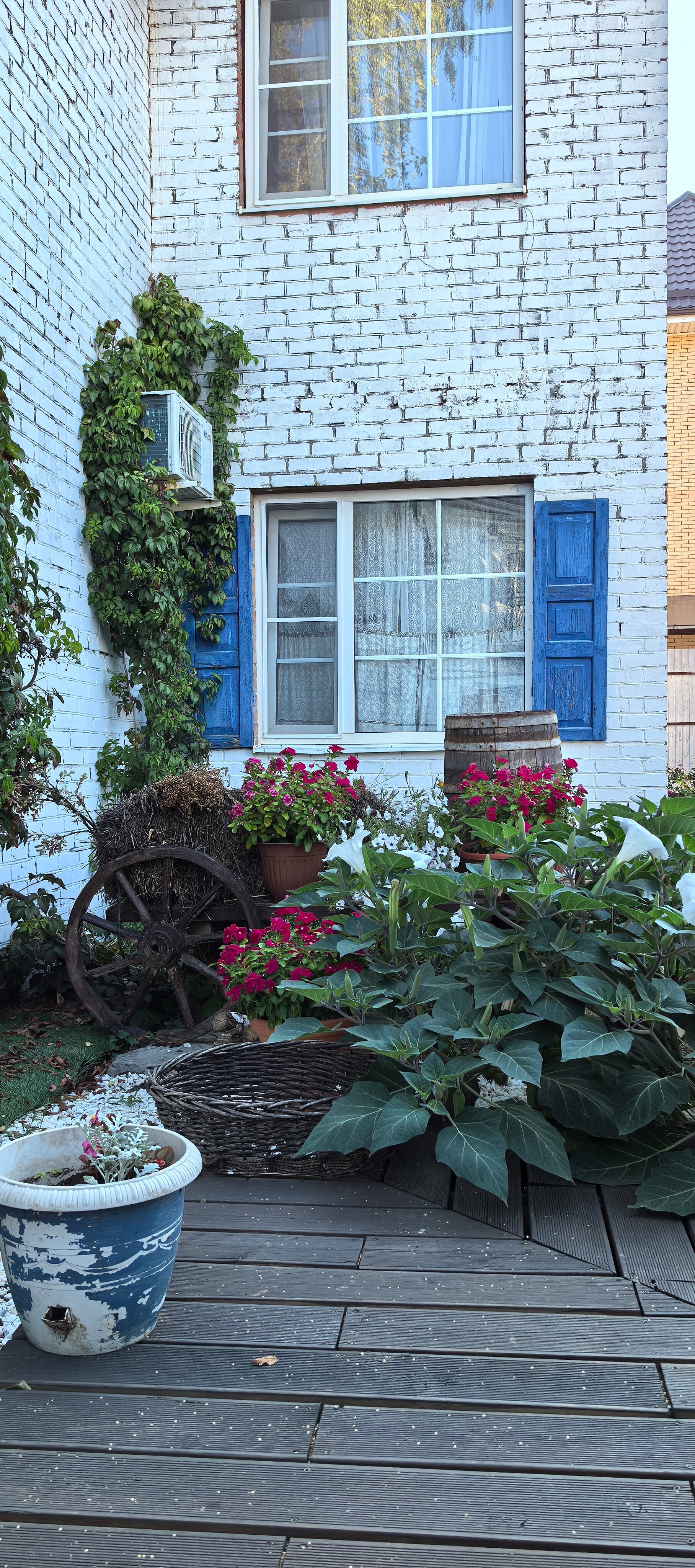 Фото Ростов Казачий