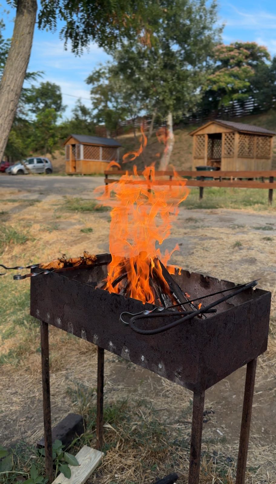 Фото Амбассадор