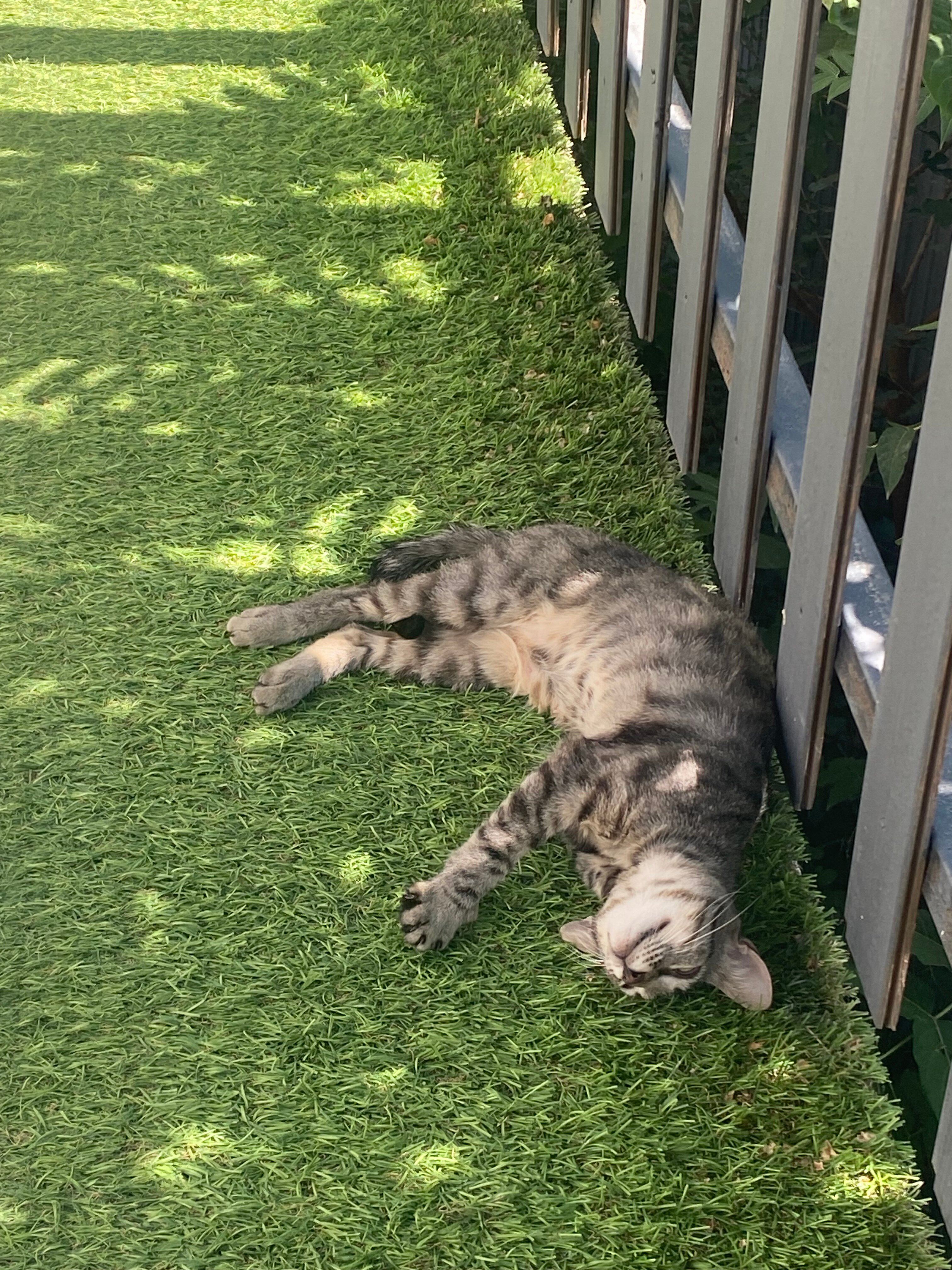 Фото Азов Вилладж