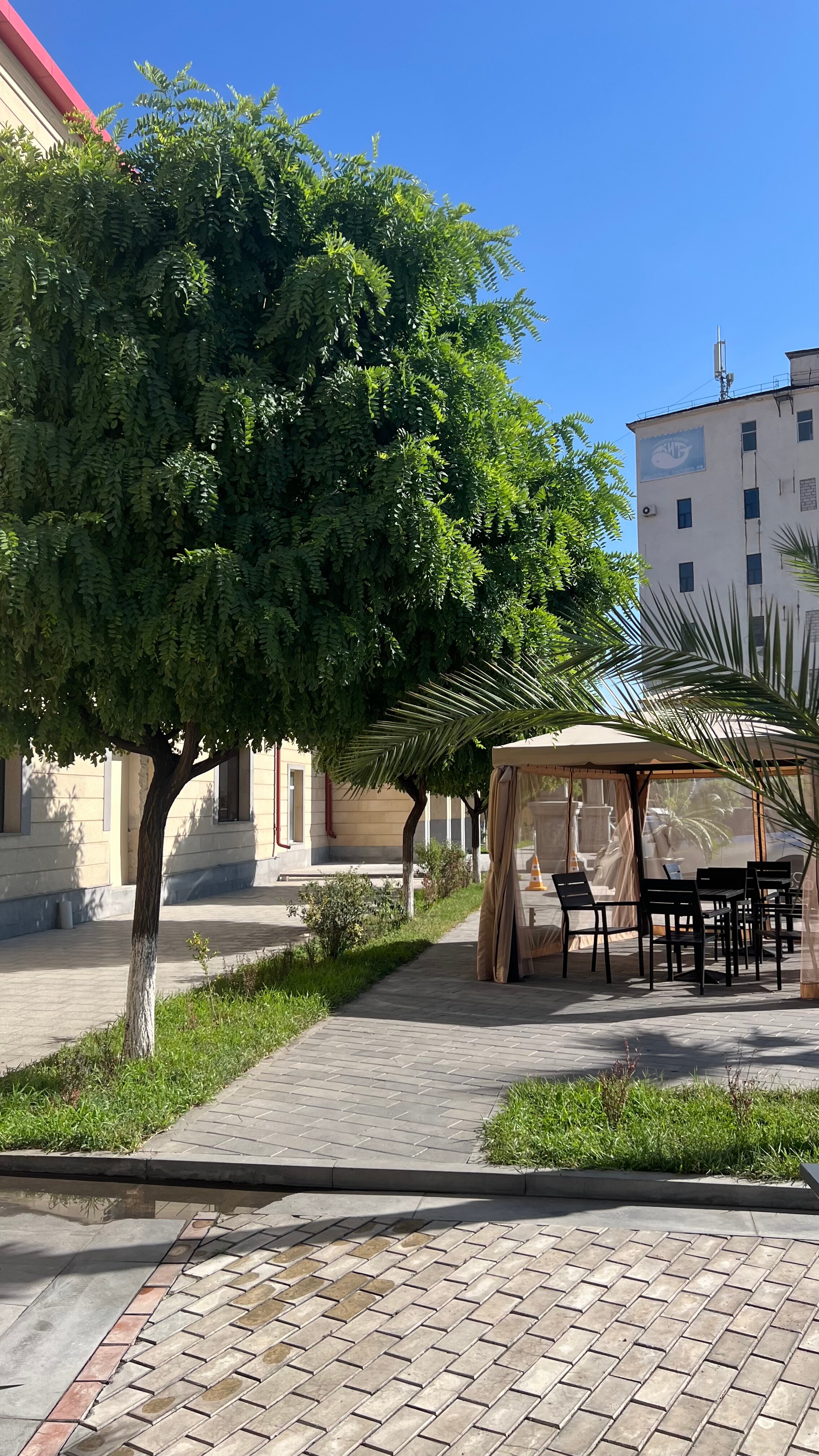 Фото Plaza Viktoria