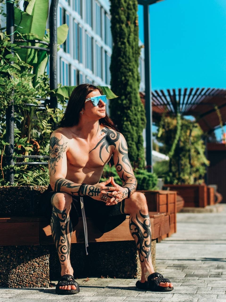 Фото Аист и Капуста