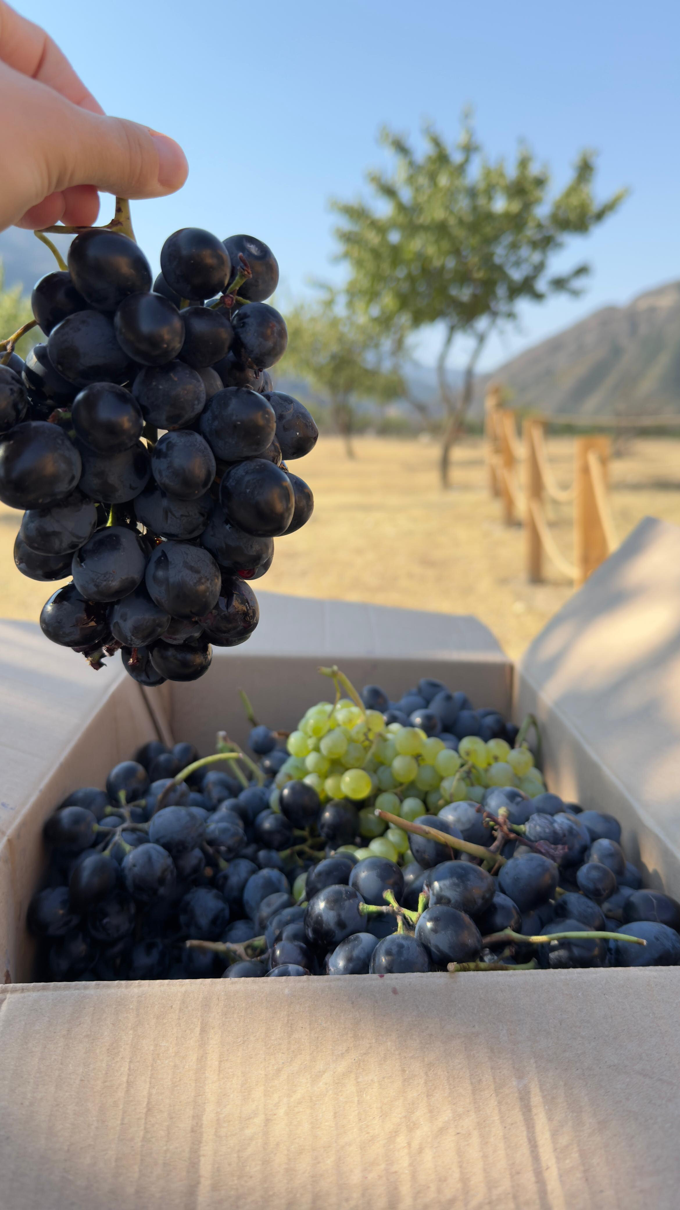 Фото Счастье в горах