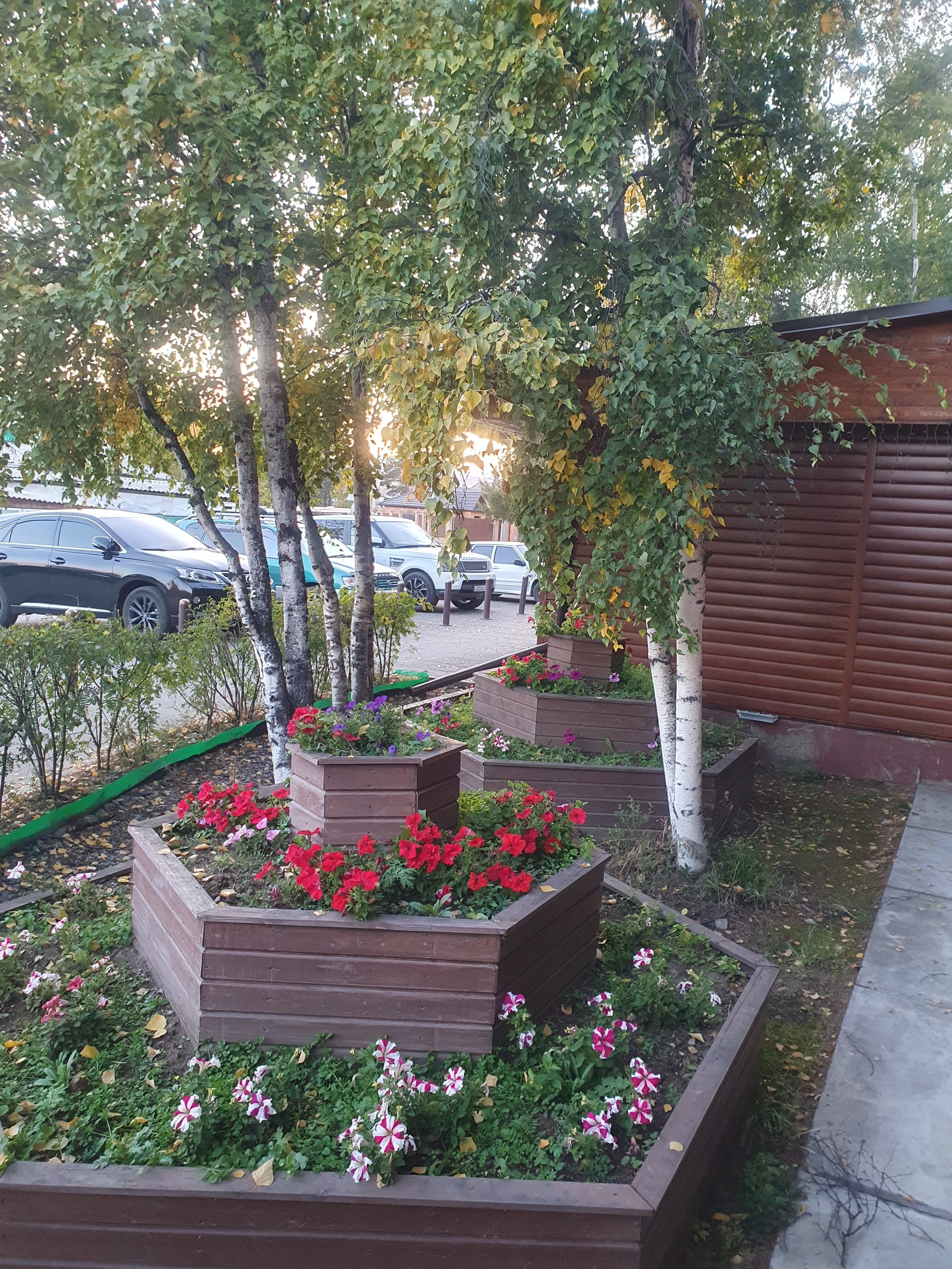 Фото Пилигрим