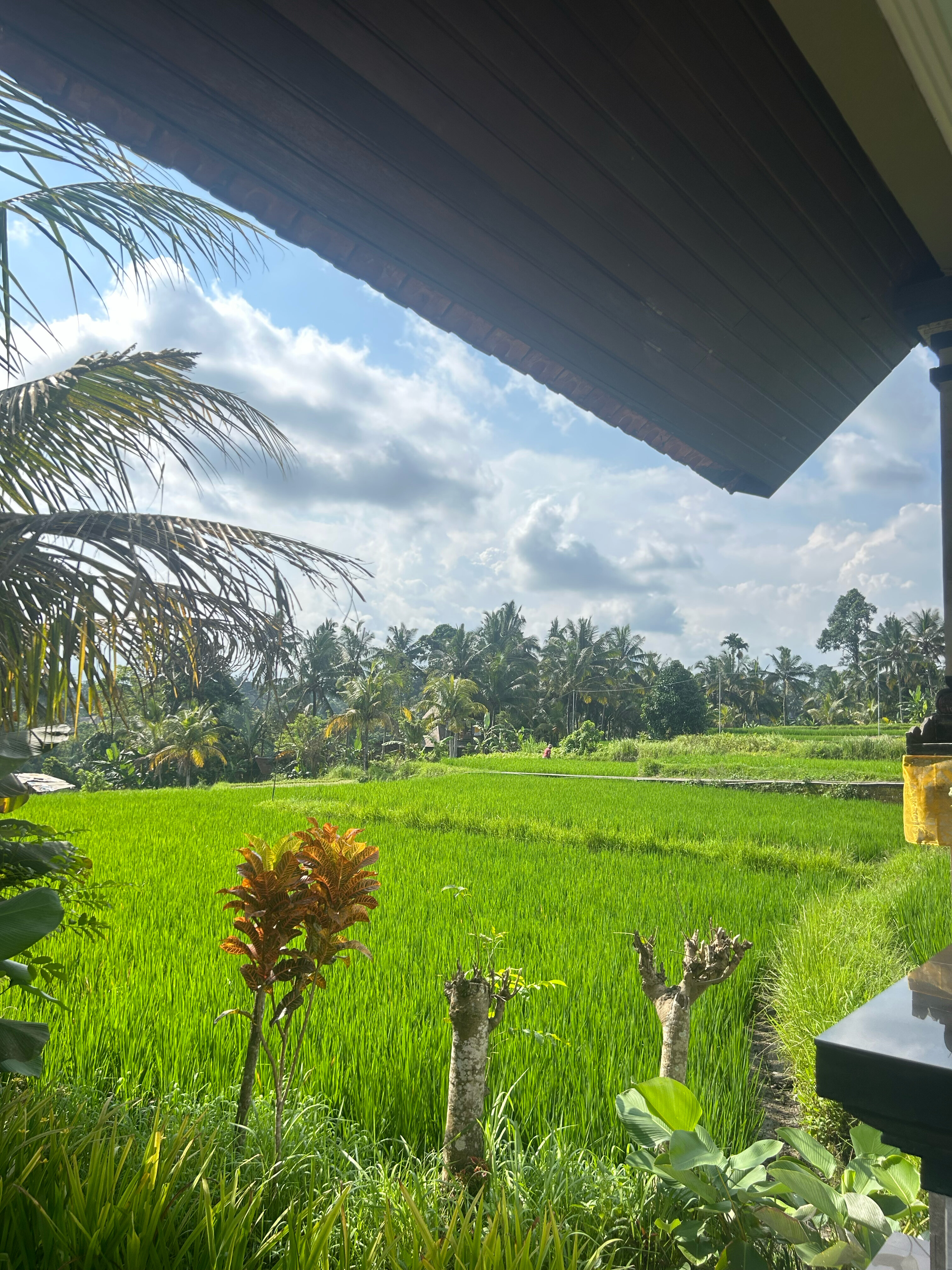 Фото Cahaya Ubud Villa