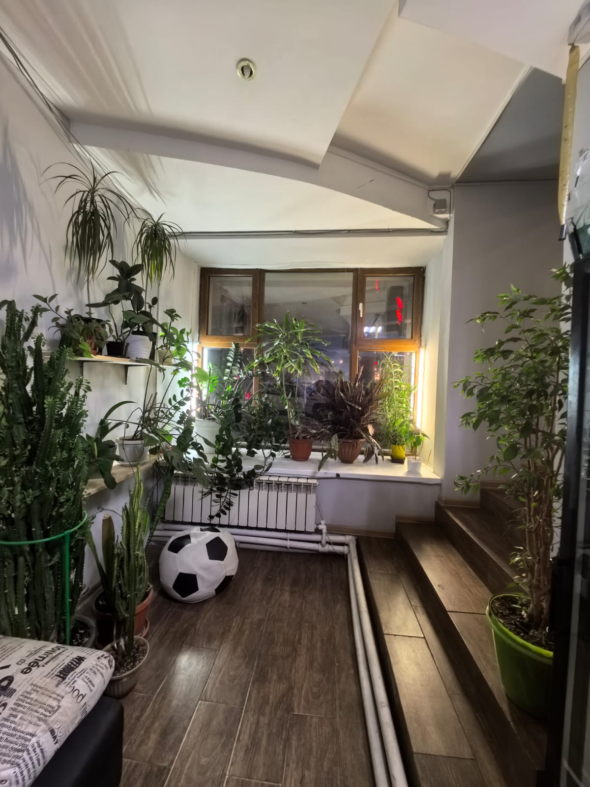 Фото Чемпион