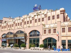 Гостиница Hotel Zentral Mayoral