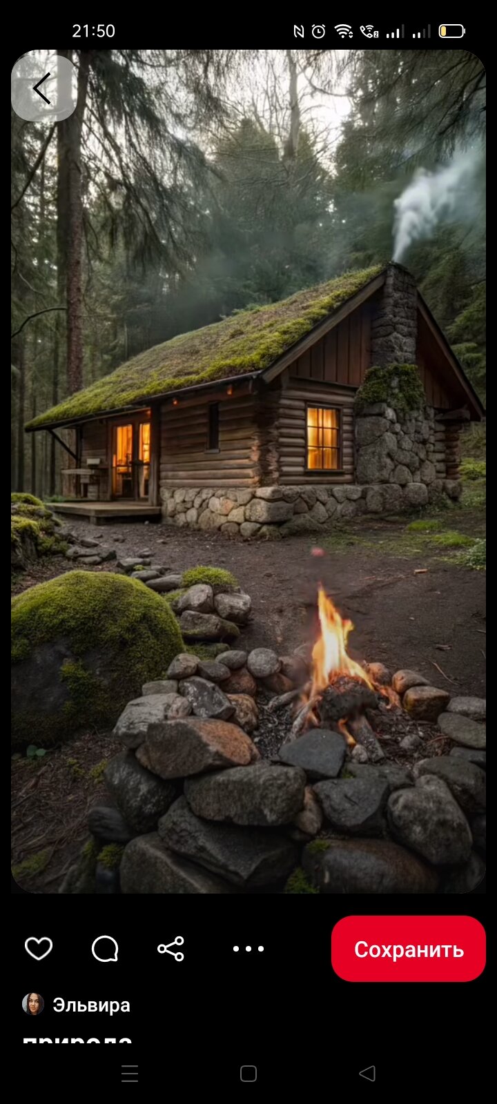 Фото Дикий дом