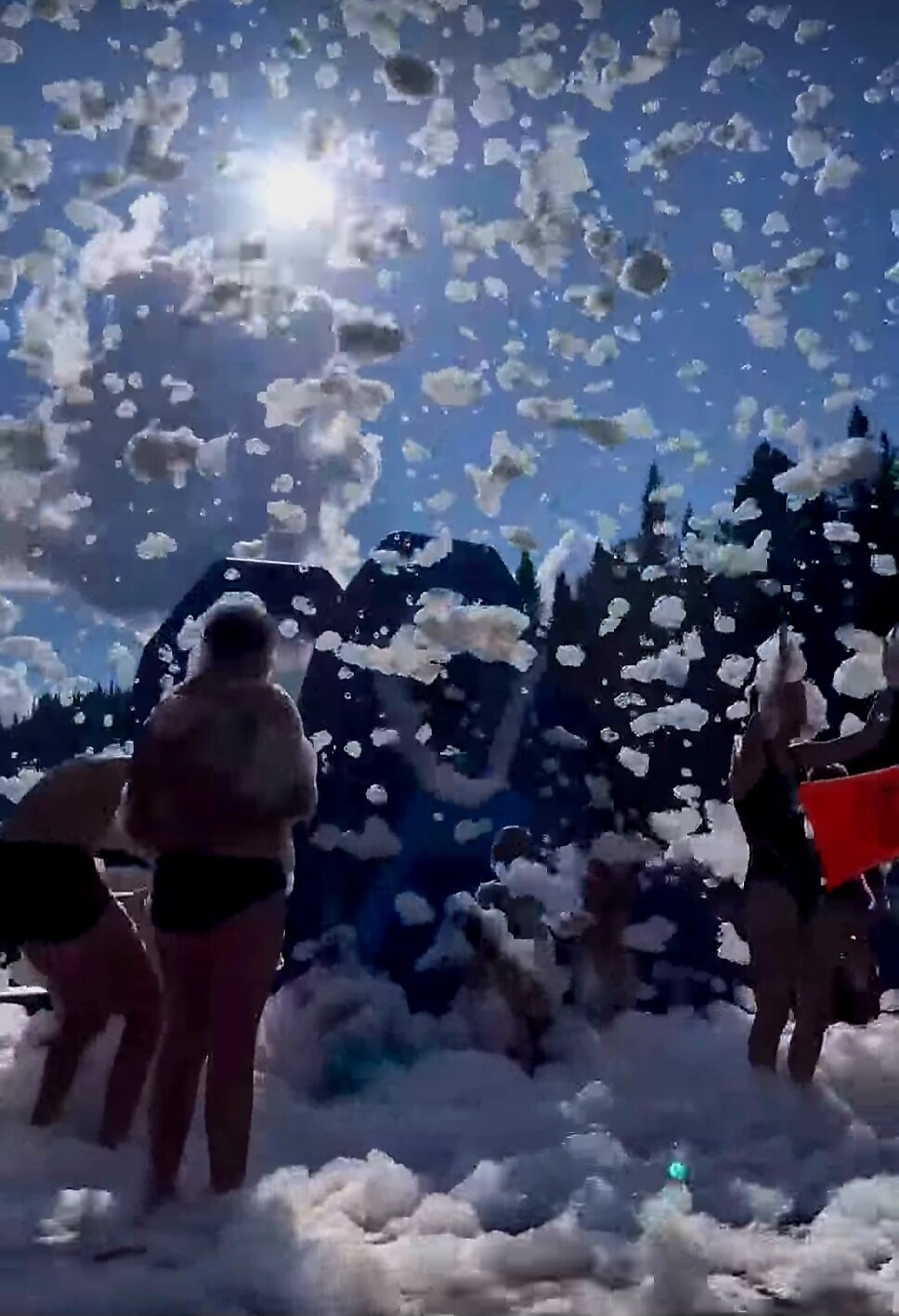 Фото Ромашка