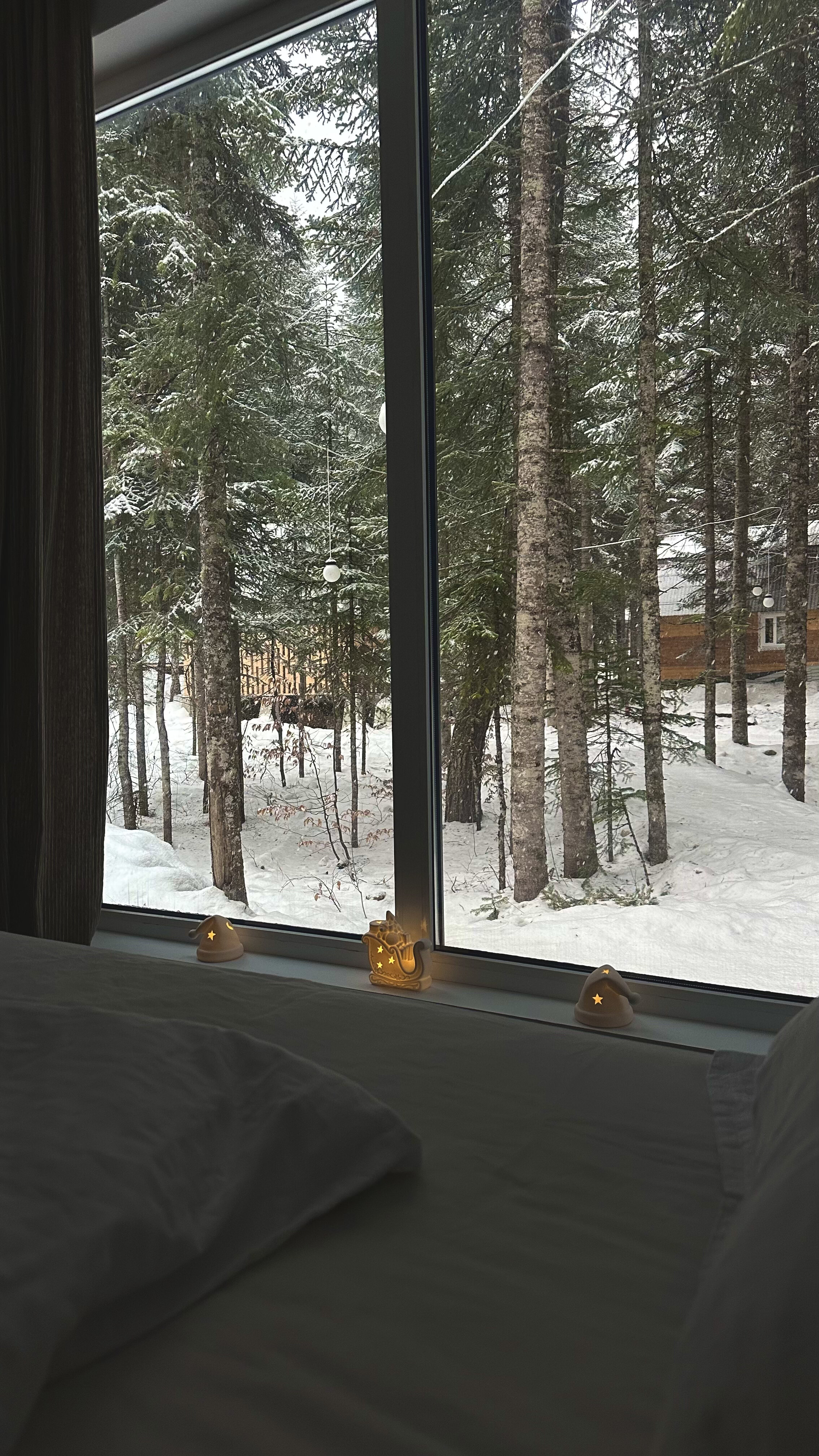 Фото Времена Года